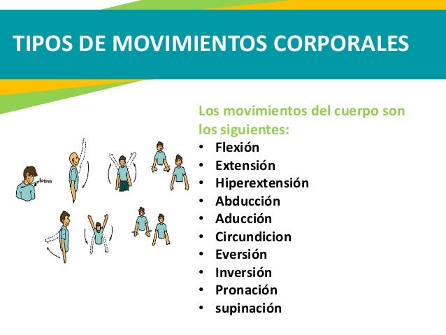 Ejes y planos de movimientos del cuerpo humano