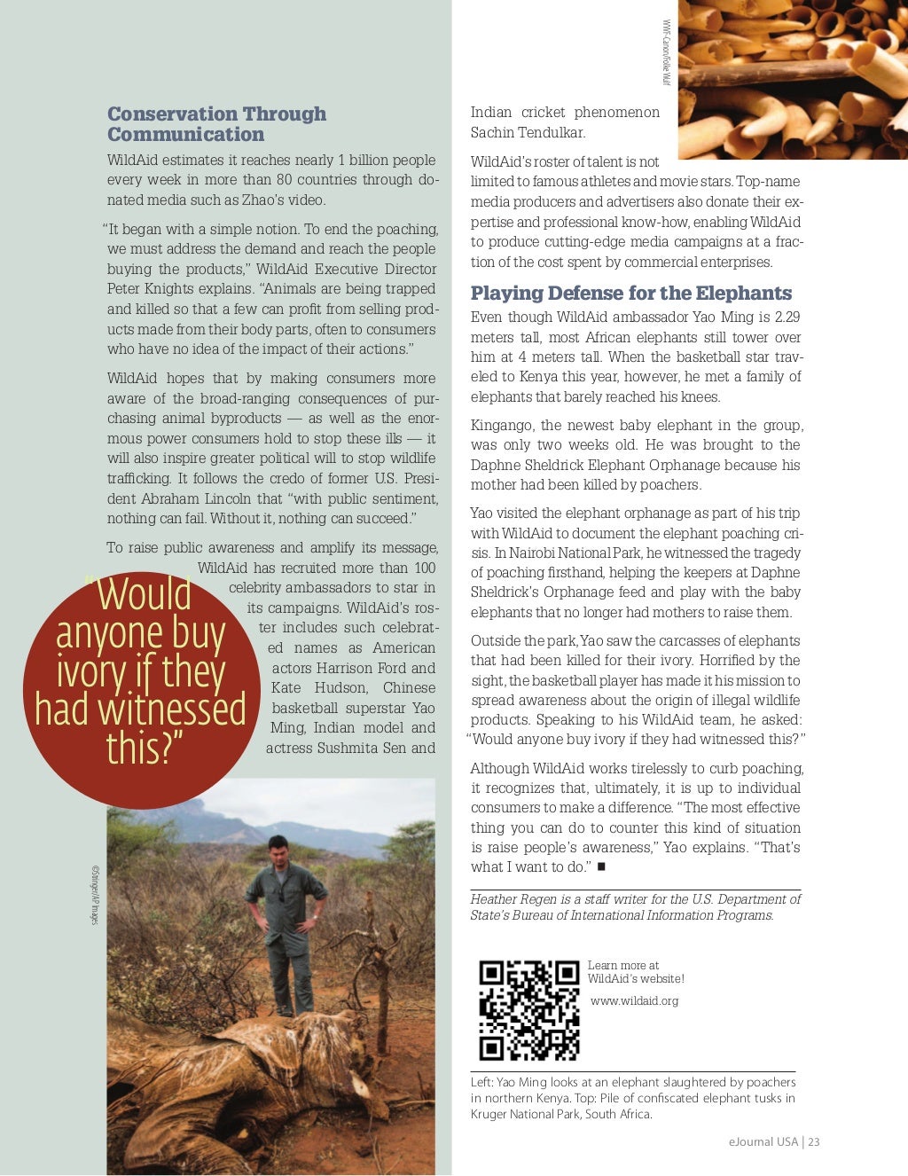 E journal conservation