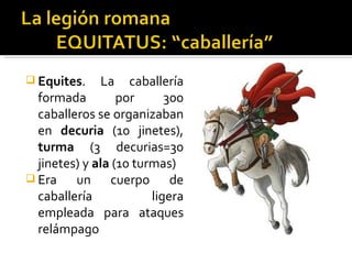  Equites.    La    caballería
  formada         por      300
  caballeros se organizaban
  en decuria (10 jinetes),
  turma (3 decurias=30
  jinetes) y ala (10 turmas)
 Era    un cuerpo de
  caballería            ligera
  empleada para ataques
  relámpago
 