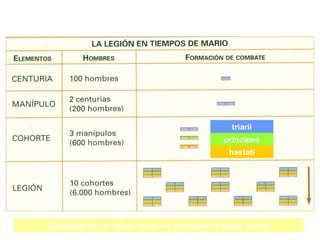 triarii
                                          principes
                                            hastati




Disposición en triple línea de combate (triplex acies)
 