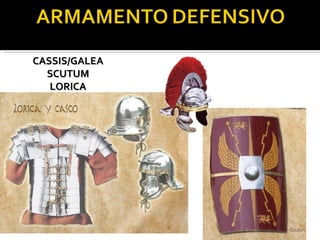 CASSIS/GALEA
  SCUTUM
   LORICA
 