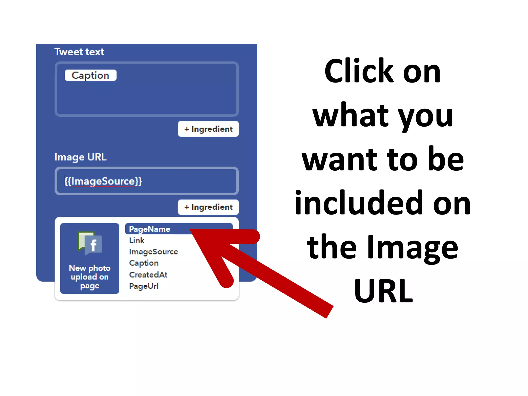 Click on
what you
want to be
included on
the Image
URL
 