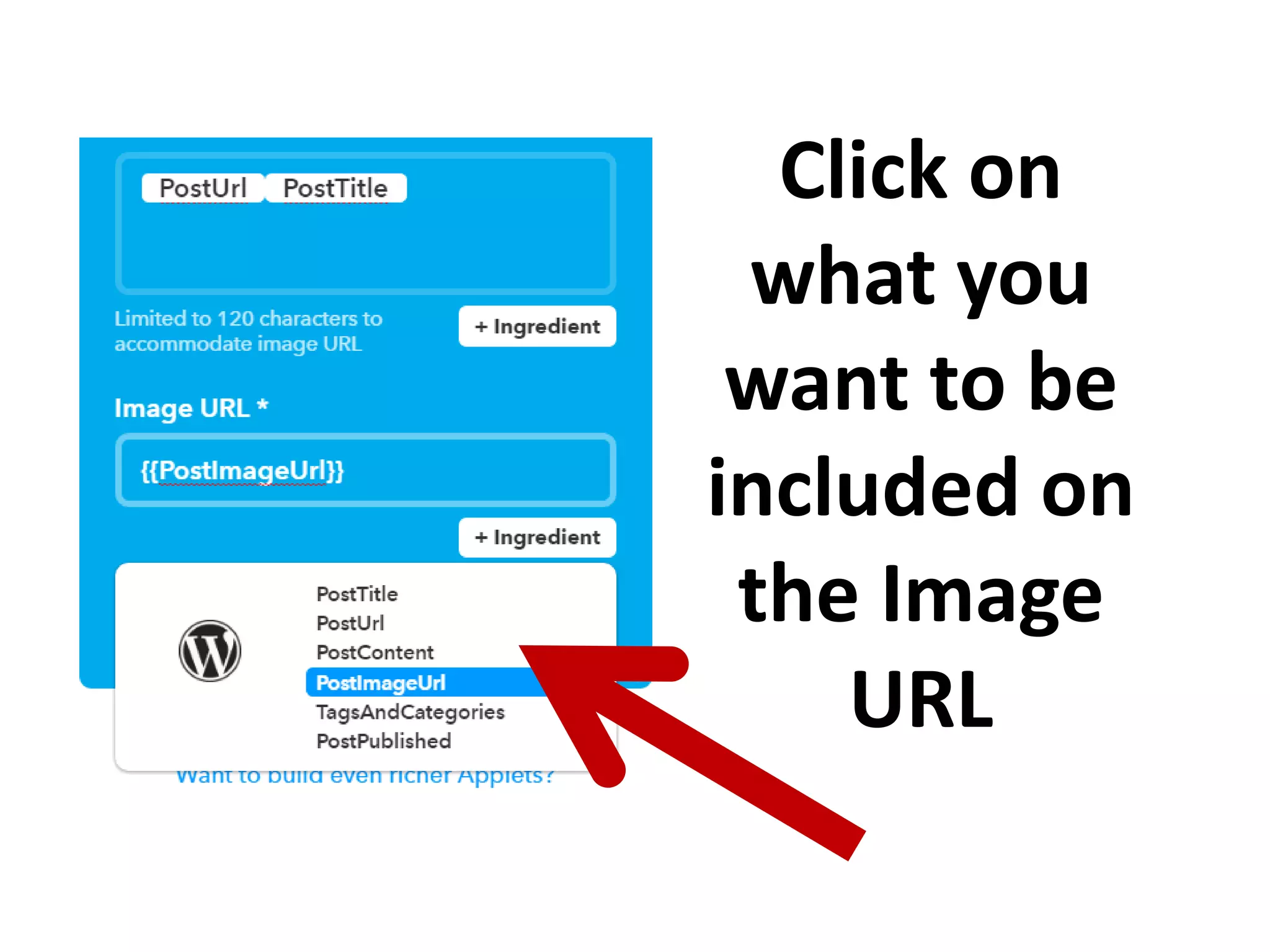 Click on
what you
want to be
included on
the Image
URL
 