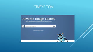 TINEYE.COM
 