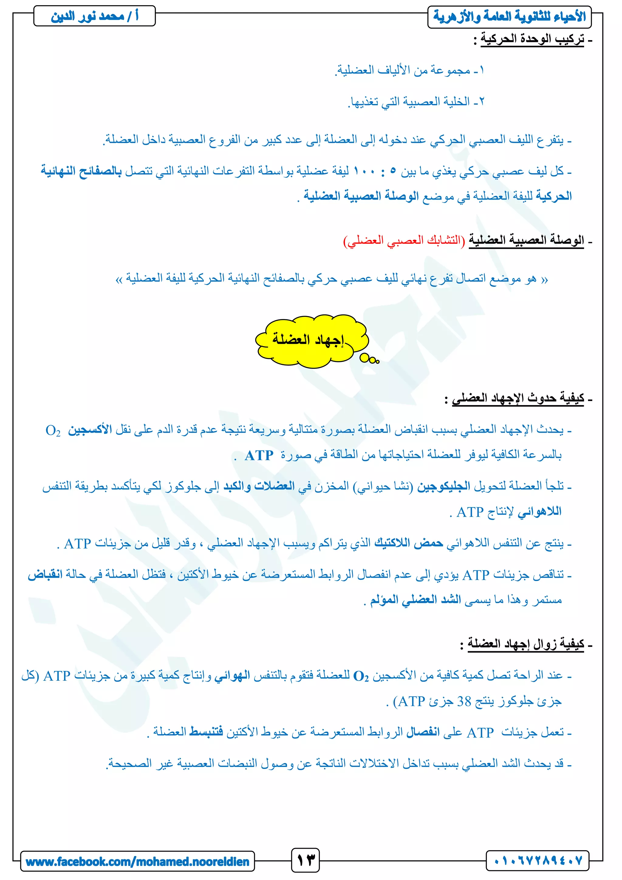 -
‫الحركية‬ ‫الوحدة‬ ‫تركيب‬
1
-
‫األ‬ ‫من‬ ‫مجموعة‬
.‫العضلية‬ ‫لياف‬
2
-
.‫تغذيها‬ ‫التي‬ ‫العصبية‬ ‫الخلية‬
-
.‫العضلة‬ ‫داخل‬ ‫العصبية‬ ‫الفروع‬ ‫من‬ ‫كبير‬ ‫عدد‬ ‫إلى‬ ‫العضلة‬ ‫إلى‬ ‫دخوله‬ ‫عند‬ ‫الحركي‬ ‫العصبي‬ ‫الليف‬ ‫يتفرع‬
-
‫بين‬ ‫ما‬ ‫يغذي‬ ‫حركي‬ ‫عصبي‬ ‫ليف‬ ‫كل‬
5
:
100
‫تتصل‬ ‫التي‬ ‫النهائية‬ ‫التفرعات‬ ‫بواسطة‬ ‫عضلية‬ ‫ليفة‬
‫بالصفائح‬
‫النه‬
‫ائية‬
‫الحركية‬
‫موضع‬ ‫في‬ ‫العضلية‬ ‫لليفة‬
‫الوصلة‬
‫العصبية‬
‫العضلية‬
.
-
‫ا‬ ‫العصبية‬ ‫الوصلة‬
‫لعضلية‬
(
)‫العضلي‬ ‫العصبي‬ ‫التشابك‬
«
‫العضلية‬ ‫لليفة‬ ‫الحركية‬ ‫النهائية‬ ‫بالصفائح‬ ‫حركي‬ ‫عصبي‬ ‫لليف‬ ‫نهائي‬ ‫تفرع‬ ‫اتصال‬ ‫موضع‬ ‫هو‬
»
-
‫العضلي‬ ‫اإلجهاد‬ ‫حدوث‬ ‫كيفية‬
:
-
‫نقل‬ ‫على‬ ‫الدم‬ ‫قدرة‬ ‫عدم‬ ‫نتيجة‬ ‫وسريعة‬ ‫متتالية‬ ‫بصورة‬ ‫العضلة‬ ‫انقباض‬ ‫بسبب‬ ‫العضلي‬ ‫اإلجهاد‬ ‫يحدث‬
‫األكسجين‬
2
O
‫صورة‬ ‫في‬ ‫الطاقة‬ ‫من‬ ‫احتياجاتها‬ ‫للعضلة‬ ‫ليوفر‬ ‫الكافية‬ ‫بالسرعة‬
ATP
.
-
‫لتحويل‬ ‫العضلة‬ ‫تلجأ‬
‫الجليكوجين‬
‫في‬ ‫المخزن‬ )‫حيواني‬ ‫(نشا‬
‫العضالت‬
‫والكبد‬
‫بطريقة‬ ‫يتأكسد‬ ‫لكي‬ ‫جلوكوز‬ ‫إلى‬
‫ا‬
‫لتنفس‬
‫الالهوائي‬
‫إلنتاج‬
ATP
.
-
‫الالهوائي‬ ‫التنفس‬ ‫عن‬ ‫ينتج‬
‫حمض‬
‫الالكتيك‬
‫جزيئات‬ ‫من‬ ‫قليل‬ ‫وقدر‬ ، ‫العضلي‬ ‫اإلجهاد‬ ‫ويسبب‬ ‫يتراكم‬ ‫الذي‬
ATP
.
-
‫جزيئات‬ ‫تناقص‬
ATP
‫حالة‬ ‫في‬ ‫العضلة‬ ‫فتظل‬ ، ‫األكتين‬ ‫خيوط‬ ‫عن‬ ‫المستعرضة‬ ‫الروابط‬ ‫انفصال‬ ‫عدم‬ ‫إلى‬ ‫يؤدي‬
‫انقب‬
‫اض‬
‫يسمى‬ ‫ما‬ ‫وهذا‬ ‫مستمر‬
‫الشد‬
‫العضلي‬
‫المؤلم‬
.
-
‫العضلة‬ ‫إجهاد‬ ‫زوال‬ ‫كيفية‬
:
-
‫األكسجين‬ ‫من‬ ‫كافية‬ ‫كمية‬ ‫تصل‬ ‫الراحة‬ ‫عند‬
2
O
‫بالتنفس‬ ‫فتقوم‬ ‫للعضلة‬
‫الهوائي‬
‫جزيئات‬ ‫من‬ ‫كبيرة‬ ‫كمية‬ ‫وإنتاج‬
ATP
‫(كل‬
‫ينتج‬ ‫جلوكوز‬ ‫جزئ‬
38
‫جزئ‬
ATP
. )
-
‫جزيئات‬ ‫تعمل‬
ATP
‫على‬
‫انفصال‬
‫األكتين‬ ‫خيوط‬ ‫عن‬ ‫المستعرضة‬ ‫الروابط‬
‫فتنبسط‬
. ‫العضلة‬
-
.‫الصحيحة‬ ‫غير‬ ‫العصبية‬ ‫النبضات‬ ‫وصول‬ ‫عن‬ ‫الناتجة‬ ‫االختالالت‬ ‫تداخل‬ ‫بسبب‬ ‫العضلي‬ ‫الشد‬ ‫يحدث‬ ‫قد‬
‫العضلة‬ ‫إجهاد‬
 