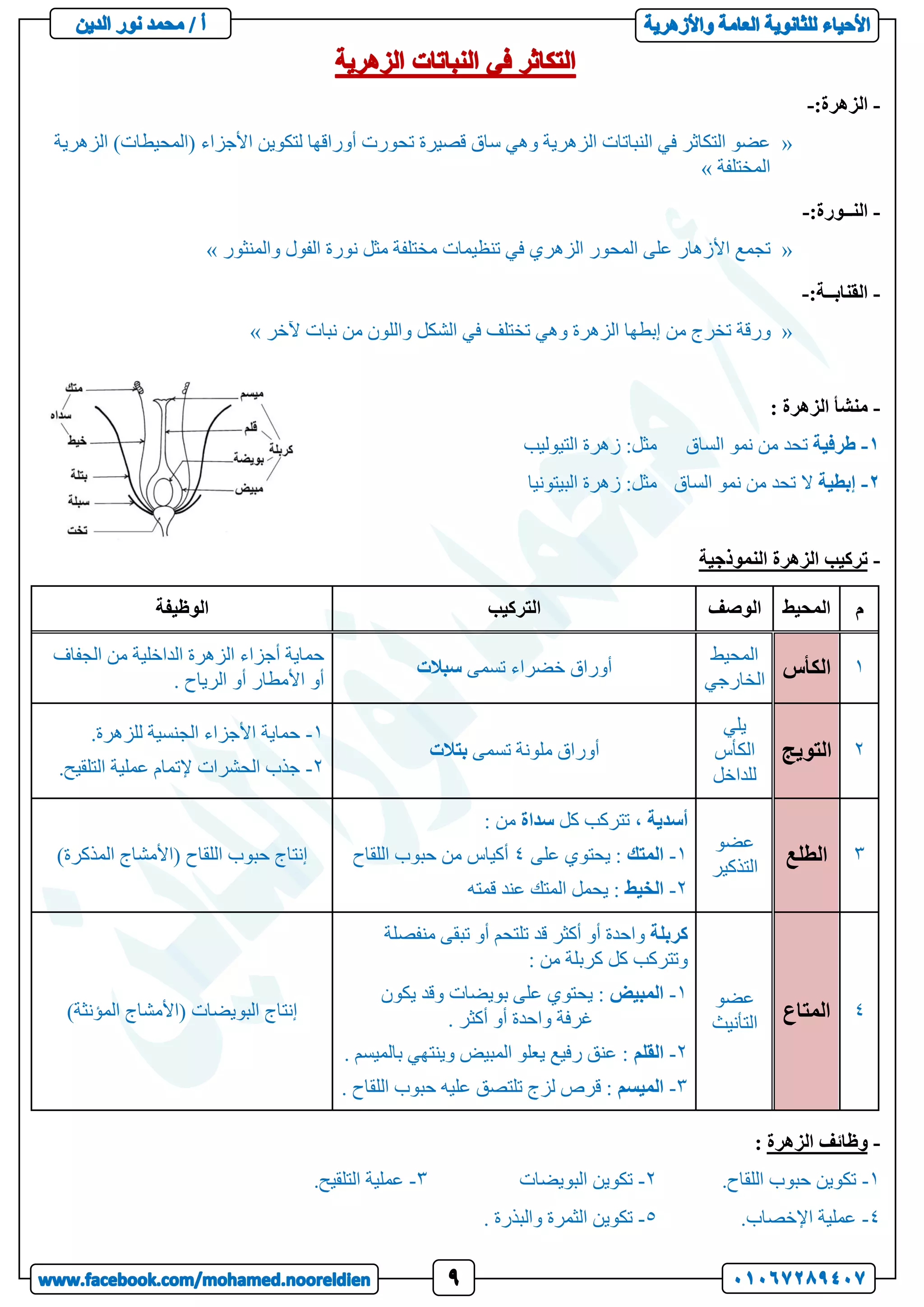 -
‫الزهرة‬
:
-
«
‫الزهر‬ )‫(المحيطات‬ ‫األجزاء‬ ‫لتكوين‬ ‫أوراقها‬ ‫تحورت‬ ‫قصيرة‬ ‫ساق‬ ‫وهي‬ ‫الزهرية‬ ‫النباتات‬ ‫في‬ ‫التكاثر‬ ‫عضو‬
‫ي‬
‫ة‬
‫المختلفة‬
»
-
‫النــورة‬
:
-
«
‫والمنثور‬ ‫الفول‬ ‫نورة‬ ‫مثل‬ ‫مختلفة‬ ‫تنظيمات‬ ‫في‬ ‫الزهري‬ ‫المحور‬ ‫على‬ ‫األزهار‬ ‫تجمع‬
»
-
‫القنابــة‬
:
-
«
‫نب‬ ‫من‬ ‫واللون‬ ‫الشكل‬ ‫في‬ ‫تختلف‬ ‫وهي‬ ‫الزهرة‬ ‫إبطها‬ ‫من‬ ‫تخرج‬ ‫ورقة‬
‫آلخر‬ ‫ات‬
»
-
: ‫الزهرة‬ ‫منشأ‬
1
-
‫طرفية‬
‫الساق‬ ‫نمو‬ ‫من‬ ‫تحد‬
‫التيوليب‬ ‫زهرة‬ :‫مثل‬
2
-
‫إبطية‬
‫الساق‬ ‫نمو‬ ‫من‬ ‫تحد‬ ‫ال‬
‫البيتونيا‬ ‫زهرة‬ :‫مثل‬
-
‫النموذجية‬ ‫الزهرة‬ ‫تركيب‬
‫م‬
‫المحيط‬
‫الوصف‬
‫التركيب‬
‫الوظيفة‬
1
‫الكأس‬
‫المحيط‬
‫الخارجي‬
‫تسمى‬ ‫خضراء‬ ‫أوراق‬
‫سبالت‬
‫الجفاف‬ ‫من‬ ‫الداخلية‬ ‫الزهرة‬ ‫أجزاء‬ ‫حماية‬
. ‫الرياح‬ ‫أو‬ ‫األمطار‬ ‫أو‬
2
‫التويج‬
‫يلي‬
‫الكأس‬
‫للداخل‬
‫تسمى‬ ‫ملونة‬ ‫أوراق‬
‫بتالت‬
1
-
.‫للزهرة‬ ‫الجنسية‬ ‫األجزاء‬ ‫حماية‬
2
-
.‫التلقيح‬ ‫عملية‬ ‫إلتمام‬ ‫الحشرات‬ ‫جذب‬
3
‫الطلع‬
‫عضو‬
‫التذكير‬
‫أسدية‬
‫كل‬ ‫تتركب‬ ،
‫سداة‬
: ‫من‬
1
-
‫المتك‬
‫على‬ ‫يحتوي‬ :
4
‫اللقاح‬ ‫حبوب‬ ‫من‬ ‫أكياس‬
2
-
‫الخيط‬
‫قمته‬ ‫عند‬ ‫المتك‬ ‫يحمل‬ :
‫حبوب‬ ‫إنتاج‬
)‫المذكرة‬ ‫(األمشاج‬ ‫اللقاح‬
4
‫المتاع‬
‫عضو‬
‫التأنيث‬
‫كربلة‬
‫منفصلة‬ ‫تبقى‬ ‫أو‬ ‫تلتحم‬ ‫قد‬ ‫أكثر‬ ‫أو‬ ‫واحدة‬
: ‫من‬ ‫كربلة‬ ‫كل‬ ‫وتتركب‬
1
-
‫المبيض‬
‫يكون‬ ‫وقد‬ ‫بويضات‬ ‫على‬ ‫يحتوي‬ :
. ‫أكثر‬ ‫أو‬ ‫واحدة‬ ‫غرفة‬
2
-
‫القلم‬
. ‫بالميسم‬ ‫وينتهي‬ ‫المبيض‬ ‫يعلو‬ ‫رفيع‬ ‫عنق‬ :
3
-
‫الميسم‬
. ‫اللقاح‬ ‫حبوب‬ ‫عليه‬ ‫تلتصق‬ ‫لزج‬ ‫قرص‬ :
)‫المؤنثة‬ ‫(األمشاج‬ ‫البويضات‬ ‫إنتاج‬
-
‫الزهرة‬ ‫وظائف‬
:
1
-
.‫اللقاح‬ ‫حبوب‬ ‫تكوين‬
2
-
‫البويضات‬ ‫تكوين‬
3
-
.‫التلقيح‬ ‫عملية‬
4
-
.‫اإلخصاب‬ ‫عملية‬
5
-
. ‫والبذرة‬ ‫الثمرة‬ ‫تكوين‬
 