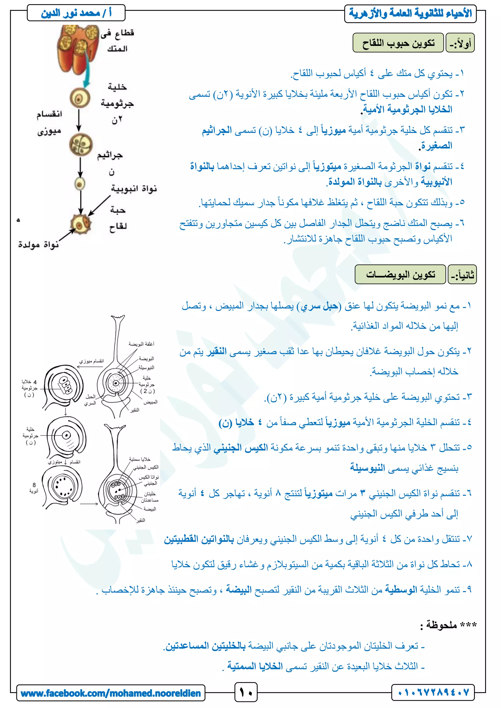 1
-
‫على‬ ‫متك‬ ‫كل‬ ‫يحتوي‬
4
.‫اللقاح‬ ‫لحبوب‬ ‫أكياس‬
2
-
( ‫األنوية‬ ‫كبيرة‬ ‫بخاليا‬ ‫مليئة‬ ‫األربعة‬ ‫اللقاح‬ ‫حبوب‬ ‫أكياس‬ ‫تكون‬
2
‫تسمى‬ )‫ن‬
‫الخاليا‬
‫الجرثومية‬
‫األمية‬
3
-
‫أمية‬ ‫جرثومية‬ ‫خلية‬ ‫كل‬ ‫تنقسم‬
ً‫ا‬‫ميوزي‬
‫إلى‬
4
‫تسمى‬ )‫(ن‬ ‫خاليا‬
‫الجراثيم‬
‫الصغيرة‬
4
-
‫تنقسم‬
‫نواة‬
‫الصغيرة‬ ‫الجرثومة‬
ً‫ا‬‫ميتوزي‬
‫إحداهما‬ ‫تعرف‬ ‫نواتين‬ ‫إلى‬
‫بالنواة‬
‫األنبوبية‬
‫واألخرى‬
‫بالنواة‬
‫المولدة‬
.
5
-
‫مك‬ ‫غالفها‬ ‫يتغلظ‬ ‫ثم‬ ، ‫اللقاح‬ ‫حبة‬ ‫تتكون‬ ‫وبذلك‬
.‫لحمايتها‬ ‫سميك‬ ‫جدار‬ ً‫ا‬‫ون‬
6
-
‫متجاورين‬ ‫كيسين‬ ‫كل‬ ‫بين‬ ‫الفاصل‬ ‫الجدار‬ ‫ويتحلل‬ ‫ناضج‬ ‫المتك‬ ‫يصبح‬
‫و‬
‫تتفتح‬
.‫لالنتشار‬ ‫جاهزة‬ ‫اللقاح‬ ‫حبوب‬ ‫وتصبح‬ ‫األكياس‬
1
-
( ‫عنق‬ ‫لها‬ ‫يتكون‬ ‫البويضة‬ ‫نمو‬ ‫مع‬
‫حبل‬
‫سري‬
‫وتصل‬ ، ‫المبيض‬ ‫بجدار‬ ‫يصلها‬ )
.‫الغذائية‬ ‫المواد‬ ‫خالله‬ ‫من‬ ‫إليها‬
2
-
‫يسمى‬ ‫صغير‬ ‫ثقب‬ ‫عدا‬ ‫بها‬ ‫يحيطان‬ ‫غالفان‬ ‫البويضة‬ ‫حول‬ ‫يتكون‬
‫الن‬
‫قير‬
‫ي‬
‫من‬ ‫تم‬
.‫البويضة‬ ‫إخصاب‬ ‫خالله‬
3
-
( ‫كبيرة‬ ‫أمية‬ ‫جرثومية‬ ‫خلية‬ ‫على‬ ‫البويضة‬ ‫تحتوي‬
2
.)‫ن‬
4
-
‫األمية‬ ‫الجرثومية‬ ‫الخلية‬ ‫تنقسم‬
ً‫ا‬‫ميوزي‬
‫من‬ ً‫ا‬‫صف‬ ‫لتعطي‬
4
)‫(ن‬ ‫خاليا‬
5
-
‫تتحلل‬
3
‫مكونة‬ ‫بسرعة‬ ‫تنمو‬ ‫واحدة‬ ‫وتبقى‬ ‫منها‬ ‫خاليا‬
‫الكيس‬
‫الجنيني‬
‫يحا‬ ‫الذي‬
‫ط‬
‫يسمى‬ ‫غذائي‬ ‫بنسيج‬
‫النيوسيلة‬
6
-
‫الجنيني‬ ‫الكيس‬ ‫نواة‬ ‫تنقسم‬
3
‫مرات‬
ً‫ا‬‫ميتوزي‬
‫لتنتج‬
8
‫كل‬ ‫تهاجر‬ ، ‫أنوية‬
4
‫أنوية‬
‫الجنيني‬ ‫الكيس‬ ‫طرفي‬ ‫أحد‬ ‫إلى‬
7
-
‫واح‬ ‫تنتقل‬
‫كل‬ ‫من‬ ‫دة‬
4
‫ويعرفان‬ ‫الجنيني‬ ‫الكيس‬ ‫وسط‬ ‫إلى‬ ‫أنوية‬
‫بالنواتين‬
‫القطبيتين‬
8
-
‫نواة‬ ‫كل‬ ‫تحاط‬
‫خاليا‬ ‫لتكون‬ ‫رقيق‬ ‫وغشاء‬ ‫السيتوبالزم‬ ‫من‬ ‫بكمية‬ ‫الباقية‬ ‫الثالثة‬ ‫من‬
9
-
‫الخلية‬ ‫تنمو‬
‫الوسطية‬
‫لتصبح‬ ‫النقير‬ ‫من‬ ‫القريبة‬ ‫الثالث‬ ‫من‬
‫البيضة‬
. ‫لإلخصاب‬ ‫جاهزة‬ ‫حينئذ‬ ‫وتصبح‬ ،
**
*
‫ملحوظة‬
:
-
‫البيضة‬ ‫جانبي‬ ‫على‬ ‫الموجودتان‬ ‫الخليتان‬ ‫تعرف‬
‫بالخليتين‬
‫المساعدتين‬
.
-
‫تسمى‬ ‫النقير‬ ‫عن‬ ‫البعيدة‬ ‫خاليا‬ ‫الثالث‬
‫الخاليا‬
‫السمتية‬
.
‫اللقاح‬ ‫حبوب‬ ‫تكوين‬ :ً‫ال‬‫أو‬
-
‫البويضـــات‬ ‫تكوين‬ ً‫ا‬‫ثاني‬
:
-
 