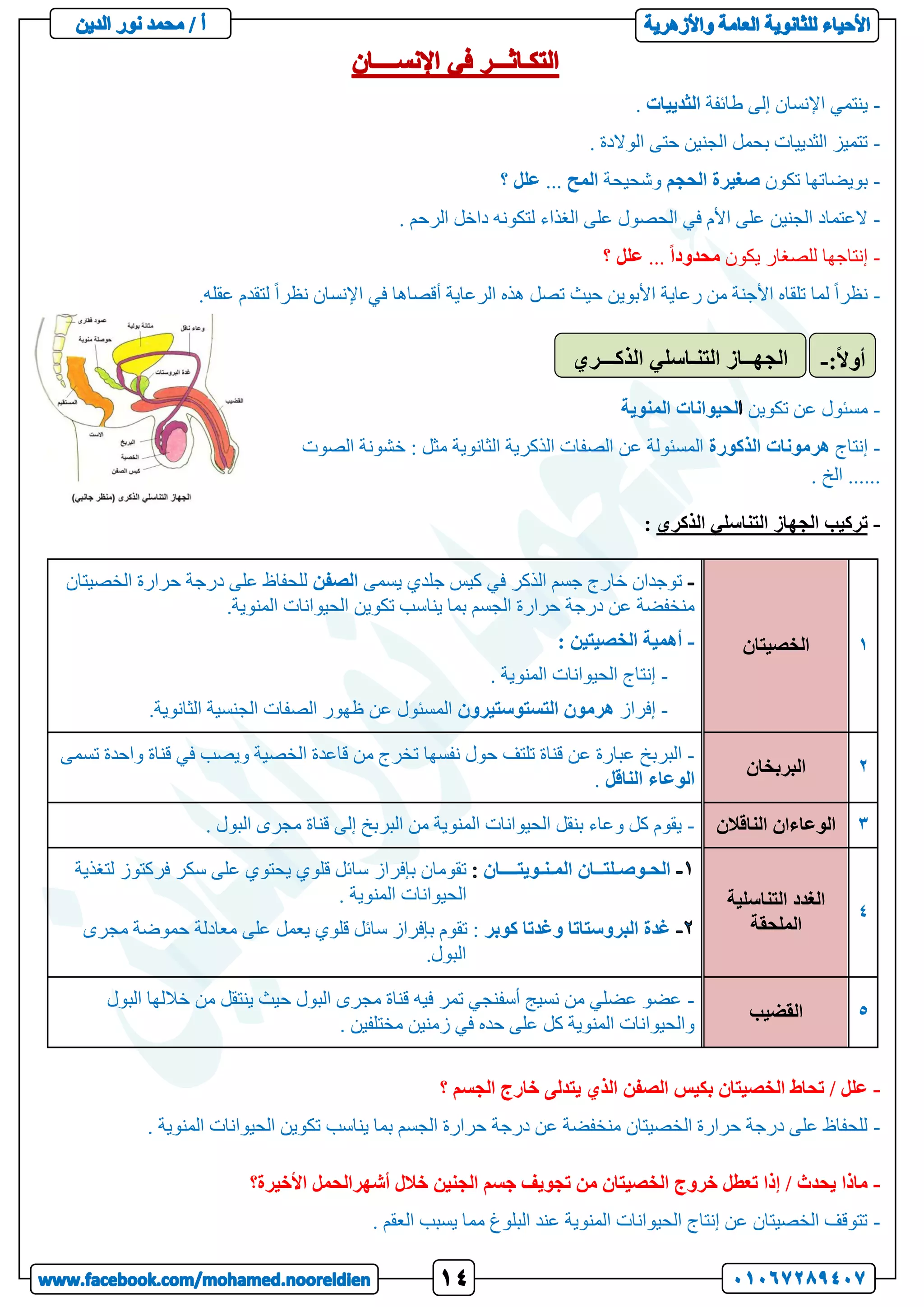 -
‫طائفة‬ ‫إلى‬ ‫اإلنسان‬ ‫ينتمي‬
‫الثدييات‬
.
-
. ‫الوالدة‬ ‫حتى‬ ‫الجنين‬ ‫بحمل‬ ‫الثدييات‬ ‫تتميز‬
-
‫تكون‬ ‫بويضاتها‬
‫صغيرة‬
‫الحجم‬
‫وشحيحة‬
‫المح‬
...
‫؟‬ ‫علل‬
-
. ‫الرحم‬ ‫داخل‬ ‫لتكونه‬ ‫الغذاء‬ ‫على‬ ‫الحصول‬ ‫في‬ ‫األم‬ ‫على‬ ‫الجنين‬ ‫العتماد‬
-
‫يكون‬ ‫للصغار‬ ‫إنتاجها‬
ً‫ا‬‫محدود‬
...
‫؟‬ ‫علل‬
-
.‫عقله‬ ‫لتقدم‬ ً‫ا‬‫نظر‬ ‫اإلنسان‬ ‫في‬ ‫أقصاها‬ ‫الرعاية‬ ‫هذه‬ ‫تصل‬ ‫حيث‬ ‫األبوين‬ ‫رعاية‬ ‫من‬ ‫األجنة‬ ‫تلقاه‬ ‫لما‬ ً‫ا‬‫نظر‬
-
‫تكوين‬ ‫عن‬ ‫مسئول‬
‫لحيوانات‬
‫المنوية‬
-
‫إنتاج‬
‫الذكورة‬ ‫هرمونات‬
‫الصوت‬ ‫خشونة‬ : ‫مثل‬ ‫الثانوية‬ ‫الذكرية‬ ‫الصفات‬ ‫عن‬ ‫المسئولة‬
. ‫الخ‬ ......
-
‫الذكري‬ ‫التناسلي‬ ‫الجهاز‬ ‫تركيب‬
:
1
‫الخصيتان‬
‫يسمى‬ ‫جلدي‬ ‫كيس‬ ‫في‬ ‫الذكر‬ ‫جسم‬ ‫خارج‬ ‫توجدان‬
‫الصفن‬
‫الخصيتان‬ ‫حرارة‬ ‫درجة‬ ‫على‬ ‫للحفاظ‬
‫تكوين‬ ‫يناسب‬ ‫بما‬ ‫الجسم‬ ‫حرارة‬ ‫درجة‬ ‫عن‬ ‫منخفضة‬
.‫المنوية‬ ‫الحيوانات‬
-
: ‫الخصيتين‬ ‫أهمية‬
-
. ‫المنوية‬ ‫الحيوانات‬ ‫إنتاج‬
-
‫إفراز‬
‫التستوستيرون‬ ‫هرمون‬
.‫الثانوية‬ ‫الجنسية‬ ‫الصفات‬ ‫ظهور‬ ‫عن‬ ‫المسئول‬
2
‫البربخان‬
-
‫قاعد‬ ‫من‬ ‫تخرج‬ ‫نفسها‬ ‫حول‬ ‫تلتف‬ ‫قناة‬ ‫عن‬ ‫عبارة‬ ‫البربخ‬
‫تسمى‬ ‫واحدة‬ ‫قناة‬ ‫في‬ ‫ويصب‬ ‫الخصية‬ ‫ة‬
‫الناقل‬ ‫الوعاء‬
.
3
‫الناقالن‬ ‫الوعاءان‬
-
. ‫البول‬ ‫مجرى‬ ‫قناة‬ ‫إلى‬ ‫البربخ‬ ‫من‬ ‫المنوية‬ ‫الحيوانات‬ ‫بنقل‬ ‫وعاء‬ ‫كل‬ ‫يقوم‬
4
‫التناسلية‬ ‫الغدد‬
‫الملحقة‬
‫المـنـويتــــان‬ ‫الحـوصـلتــان‬
‫سا‬ ‫بإفراز‬ ‫تقومان‬
‫لتغذية‬ ‫فركتوز‬ ‫سكر‬ ‫على‬ ‫يحتوي‬ ‫قلوي‬ ‫ئل‬
. ‫المنوية‬ ‫الحيوانات‬
‫كوبر‬ ‫وغدتا‬ ‫البروستاتا‬ ‫غدة‬
‫مجرى‬ ‫حموضة‬ ‫معادلة‬ ‫على‬ ‫يعمل‬ ‫قلوي‬ ‫سائل‬ ‫بإفراز‬ ‫تقوم‬ :
‫البو‬
.‫ل‬
5
‫القضيب‬
-
‫البول‬ ‫خاللها‬ ‫من‬ ‫ينتقل‬ ‫حيث‬ ‫البول‬ ‫مجرى‬ ‫قناة‬ ‫فيه‬ ‫تمر‬ ‫أسفنجي‬ ‫نسيج‬ ‫من‬ ‫عضلي‬ ‫عضو‬
. ‫مختلفين‬ ‫زمنين‬ ‫في‬ ‫حده‬ ‫على‬ ‫كل‬ ‫المنوية‬ ‫والحيوانات‬
-
‫بكيس‬ ‫الخصيتان‬ ‫تحاط‬ / ‫علل‬
‫؟‬ ‫الجسم‬ ‫خارج‬ ‫يتدلى‬ ‫الذي‬ ‫الصفن‬
-
. ‫المنوية‬ ‫الحيوانات‬ ‫تكوين‬ ‫يناسب‬ ‫بما‬ ‫الجسم‬ ‫حرارة‬ ‫درجة‬ ‫عن‬ ‫منخفضة‬ ‫الخصيتان‬ ‫حرارة‬ ‫درجة‬ ‫على‬ ‫للحفاظ‬
-
‫األخيرة؟‬ ‫أشهرالحمل‬ ‫خالل‬ ‫الجنين‬ ‫جسم‬ ‫تجويف‬ ‫من‬ ‫الخصيتان‬ ‫خروج‬ ‫تعطل‬ ‫إذا‬ / ‫يحدث‬ ‫ماذا‬
-
. ‫العقم‬ ‫يسبب‬ ‫مما‬ ‫البلوغ‬ ‫عند‬ ‫المنوية‬ ‫الحيوانات‬ ‫إنتاج‬ ‫عن‬ ‫الخصيتان‬ ‫تتوقف‬
‫الذكـــري‬ ‫التنـاسلي‬ ‫الجهــاز‬ :ً‫ال‬‫أو‬
-
 