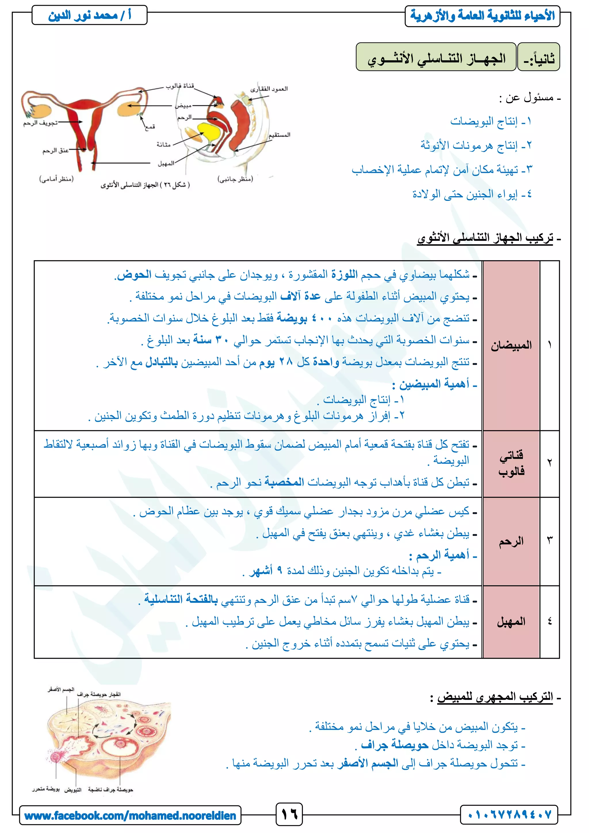 -
: ‫عن‬ ‫مسئول‬
1
-
‫البويضات‬ ‫إنتاج‬
2
-
‫األنوثة‬ ‫هرمونات‬ ‫إنتاج‬
3
-
‫آمن‬ ‫مكان‬ ‫تهيئة‬
‫اإلخصاب‬ ‫عملية‬ ‫إلتمام‬
4
-
‫الوالدة‬ ‫حتى‬ ‫الجنين‬ ‫إيواء‬
-
‫األنثوي‬ ‫التناسلي‬ ‫الجهاز‬ ‫تركيب‬
1
‫المبيضان‬
‫حجم‬ ‫في‬ ‫بيضاوي‬ ‫شكلهما‬
‫اللوزة‬
‫تجويف‬ ‫جانبي‬ ‫على‬ ‫ويوجدان‬ ، ‫المقشورة‬
‫الحوض‬
.
‫على‬ ‫الطفولة‬ ‫أثناء‬ ‫المبيض‬ ‫يحتوي‬
‫آالف‬ ‫عدة‬
. ‫مختلفة‬ ‫نمو‬ ‫مراحل‬ ‫في‬ ‫البويضات‬
‫هذه‬ ‫البويضات‬ ‫آالف‬ ‫من‬ ‫تنضج‬
400
‫بويضة‬
.‫الخصوبة‬ ‫سنوات‬ ‫خالل‬ ‫البلوغ‬ ‫بعد‬ ‫فقط‬
‫حوالي‬ ‫تستمر‬ ‫اإلنجاب‬ ‫بها‬ ‫يحدث‬ ‫التي‬ ‫الخصوبة‬ ‫سنوات‬
30
‫سنة‬
. ‫البلوغ‬ ‫بعد‬
‫بويضة‬ ‫بمعدل‬ ‫البويضات‬ ‫تنتج‬
‫واحدة‬
‫كل‬
28
‫يوم‬
‫المبيضين‬ ‫أحد‬ ‫من‬
‫بالتبادل‬
. ‫اآلخر‬ ‫مع‬
-
: ‫المبيضين‬ ‫أهمية‬
1
-
. ‫البويضات‬ ‫إنتاج‬
2
-
. ‫الجنين‬ ‫وتكوين‬ ‫الطمث‬ ‫دورة‬ ‫تنظيم‬ ‫وهرمونات‬ ‫البلوغ‬ ‫هرمونات‬ ‫إفراز‬
2
‫قناتي‬
‫فال‬
‫وب‬
‫أص‬ ‫زوائد‬ ‫وبها‬ ‫القناة‬ ‫في‬ ‫البويضات‬ ‫سقوط‬ ‫لضمان‬ ‫المبيض‬ ‫أمام‬ ‫قمعية‬ ‫بفتحة‬ ‫قناة‬ ‫كل‬ ‫تفتح‬
‫ب‬
‫اللتقاط‬ ‫عية‬
. ‫البويضة‬
‫البويضات‬ ‫توجه‬ ‫بأهداب‬ ‫قناة‬ ‫كل‬ ‫تبطن‬
‫المخصبة‬
. ‫الرحم‬ ‫نحو‬
3
‫الرحم‬
. ‫الحوض‬ ‫عظام‬ ‫بين‬ ‫يوجد‬ ، ‫قوي‬ ‫سميك‬ ‫عضلي‬ ‫بجدار‬ ‫مزود‬ ‫مرن‬ ‫عضلي‬ ‫كيس‬
. ‫المهبل‬ ‫في‬ ‫يفتح‬ ‫بعنق‬ ‫وينتهي‬ ، ‫غدي‬ ‫بغشاء‬ ‫يبطن‬
-
: ‫الرحم‬ ‫أهمية‬
-
‫لمدة‬ ‫وذلك‬ ‫الجنين‬ ‫تكوين‬ ‫بداخله‬ ‫يتم‬
9
‫أشهر‬
.
4
‫المهبل‬
‫حوالي‬ ‫طولها‬ ‫عضلية‬ ‫قناة‬
7
‫وتنتهي‬ ‫الرحم‬ ‫عنق‬ ‫من‬ ‫تبدأ‬ ‫سم‬
‫التناسلية‬ ‫بالفتحة‬
.
. ‫المهبل‬ ‫ترطيب‬ ‫على‬ ‫يعمل‬ ‫مخاطي‬ ‫سائل‬ ‫يفرز‬ ‫بغشاء‬ ‫المهبل‬ ‫يبطن‬
. ‫الجنين‬ ‫خروج‬ ‫أثناء‬ ‫بتمدده‬ ‫تسمح‬ ‫ثنيات‬ ‫على‬ ‫يحتوي‬
-
‫للمبيض‬ ‫المجهري‬ ‫التركيب‬
:
-
. ‫مختلفة‬ ‫نمو‬ ‫مراحل‬ ‫في‬ ‫خاليا‬ ‫من‬ ‫المبيض‬ ‫يتكون‬
-
‫داخل‬ ‫البويضة‬ ‫توجد‬
‫حويصلة‬
‫جراف‬
.
-
‫إلى‬ ‫جراف‬ ‫حويصلة‬ ‫تتحول‬
‫األصفر‬ ‫الجسم‬
. ‫منها‬ ‫البويضة‬ ‫تحرر‬ ‫بعد‬
‫األنثـــوي‬ ‫التنـاسلي‬ ‫الجهــاز‬ :ً‫ا‬‫ثاني‬
-
 