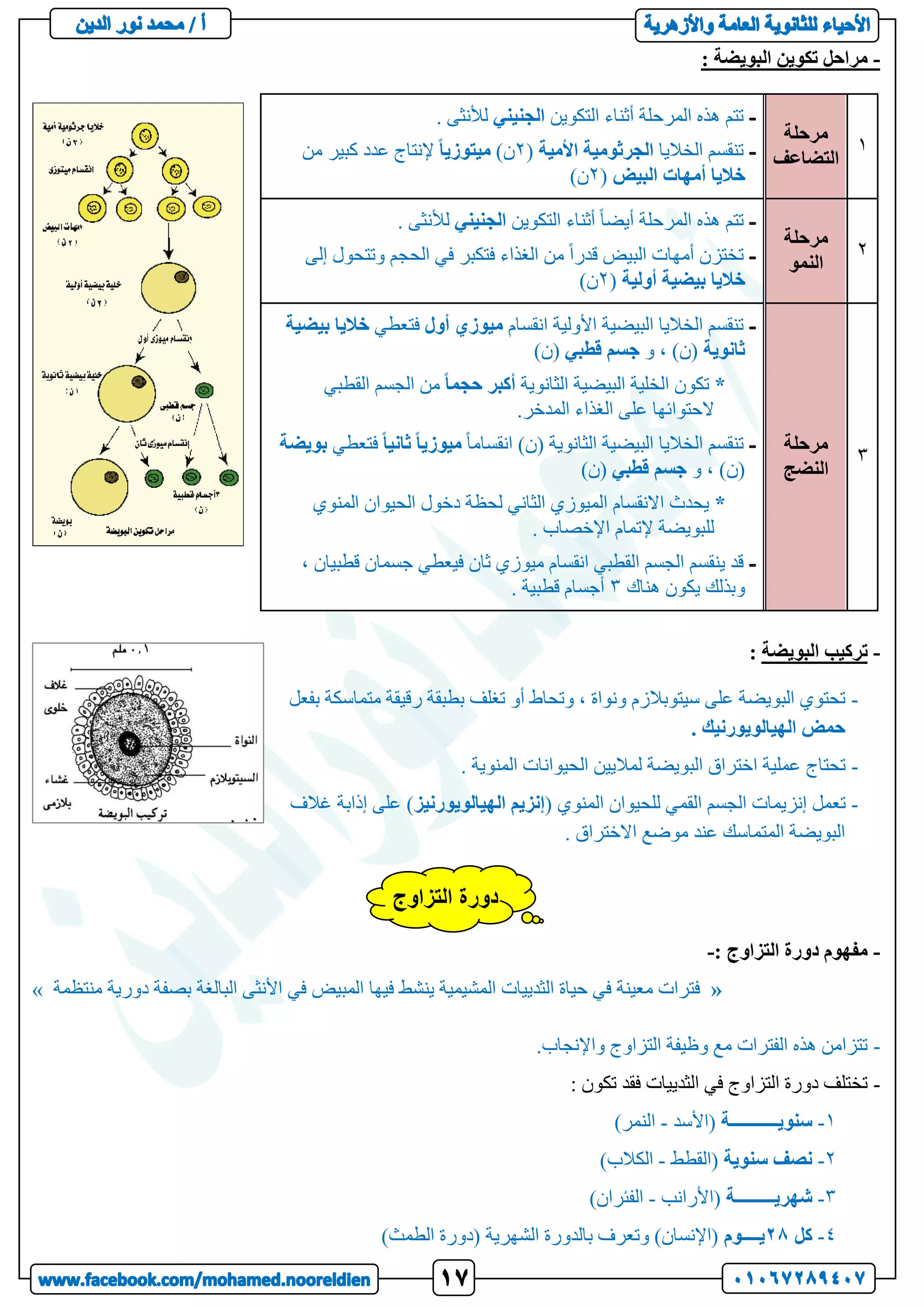 -
: ‫البويضة‬ ‫تكوين‬ ‫مراحل‬
1
‫مرحلة‬
‫التضاعف‬
‫التكوين‬ ‫أثناء‬ ‫المرحلة‬ ‫هذه‬ ‫تتم‬
‫الجنيني‬
. ‫لألنثى‬
‫الخاليا‬ ‫تنقسم‬
‫األمية‬ ‫الجرثومية‬
(
2
)‫ن‬
ً‫ا‬‫ميتوزي‬
‫من‬ ‫كبير‬ ‫عدد‬ ‫إلنتاج‬
‫البيض‬ ‫أمهات‬ ‫خاليا‬
(
2
)‫ن‬
2
‫مرحلة‬
‫الن‬
‫مو‬
‫التكوين‬ ‫أثناء‬ ً‫ا‬‫أيض‬ ‫المرحلة‬ ‫هذه‬ ‫تتم‬
‫الجنيني‬
. ‫لألنثى‬
‫إلى‬ ‫وتتحول‬ ‫الحجم‬ ‫في‬ ‫فتكبر‬ ‫الغذاء‬ ‫من‬ ً‫ا‬‫قدر‬ ‫البيض‬ ‫أمهات‬ ‫تختزن‬
‫أولية‬ ‫بيضية‬ ‫خاليا‬
(
2
)‫ن‬
3
‫مرحلة‬
‫الن‬
‫ضج‬
‫انقسام‬ ‫األولية‬ ‫البيضية‬ ‫الخاليا‬ ‫تنقسم‬
‫أول‬ ‫ميوزي‬
‫فتعطي‬
‫خاليا‬
‫بيضية‬
‫ثانوية‬
‫و‬ ، )‫(ن‬
‫قطبي‬ ‫جسم‬
)‫(ن‬
*
‫ا‬ ‫تكون‬
‫الثانوية‬ ‫البيضية‬ ‫لخلية‬
ً‫ا‬‫حجم‬ ‫أكبر‬
‫القطبي‬ ‫الجسم‬ ‫من‬
.‫المدخر‬ ‫الغذاء‬ ‫على‬ ‫الحتوائها‬
ً‫ا‬‫انقسام‬ )‫(ن‬ ‫الثانوية‬ ‫البيضية‬ ‫الخاليا‬ ‫تنقسم‬
ً‫ا‬‫ثاني‬ ً‫ا‬‫ميوزي‬
‫فتع‬
‫طي‬
‫بويضة‬
‫و‬ ، )‫(ن‬
‫قطبي‬ ‫جسم‬
)‫(ن‬
*
‫المنوي‬ ‫الحيوان‬ ‫دخول‬ ‫لحظة‬ ‫الثاني‬ ‫الميوزي‬ ‫االنقسام‬ ‫يحدث‬
. ‫اإلخصاب‬ ‫إلتمام‬ ‫للبويضة‬
، ‫قطبيان‬ ‫جسمان‬ ‫فيعطي‬ ‫ثان‬ ‫ميوزي‬ ‫انقسام‬ ‫القطبي‬ ‫الجسم‬ ‫ينقسم‬ ‫قد‬
‫هناك‬ ‫يكون‬ ‫وبذلك‬
3
. ‫قطبية‬ ‫أجسام‬
-
‫البويضة‬ ‫تركيب‬
:
-
‫بفعل‬ ‫متماسكة‬ ‫رقيقة‬ ‫بطبقة‬ ‫تغلف‬ ‫أو‬ ‫وتحاط‬ ، ‫ونواة‬ ‫سيتوبالزم‬ ‫على‬ ‫البويضة‬ ‫تحتوي‬
. ‫الهيالويورنيك‬ ‫حمض‬
-
. ‫المنوية‬ ‫الحيوانات‬ ‫لماليين‬ ‫البويضة‬ ‫اختراق‬ ‫عملية‬ ‫تحتاج‬
-
( ‫المنوي‬ ‫للحيوان‬ ‫القمي‬ ‫الجسم‬ ‫إنزيمات‬ ‫تعمل‬
‫الهيالويورنيز‬ ‫إنزيم‬
‫غالف‬ ‫إذابة‬ ‫على‬ )
. ‫االختراق‬ ‫موضع‬ ‫عند‬ ‫المتماسك‬ ‫البويضة‬
-
‫التزاوج‬ ‫دورة‬ ‫مفهوم‬
:
-
«
‫منتظمة‬ ‫دورية‬ ‫بصفة‬ ‫البالغة‬ ‫األنثى‬ ‫في‬ ‫المبيض‬ ‫فيها‬ ‫ينشط‬ ‫المشيمية‬ ‫الثدييات‬ ‫حياة‬ ‫في‬ ‫معينة‬ ‫فترات‬
»
-
.‫واإلنجاب‬ ‫التزاوج‬ ‫وظيفة‬ ‫مع‬ ‫الفترات‬ ‫هذه‬ ‫تتزامن‬
-
: ‫تكون‬ ‫فقد‬ ‫الثدييات‬ ‫في‬ ‫التزاوج‬ ‫دورة‬ ‫تختلف‬
1
-
‫سنويـــــــــــة‬
‫(األسد‬
-
)‫النمر‬
2
-
‫سنوية‬ ‫نصف‬
‫(القطط‬
-
)‫الكالب‬
3
-
‫شهريـــــــــة‬
‫(األرانب‬
-
)‫الفئران‬
4
-
‫كل‬
28
‫يــــوم‬
)‫الطمث‬ ‫(دورة‬ ‫الشهرية‬ ‫بالدورة‬ ‫وتعرف‬ )‫(اإلنسان‬
‫التزاوج‬ ‫دورة‬
 