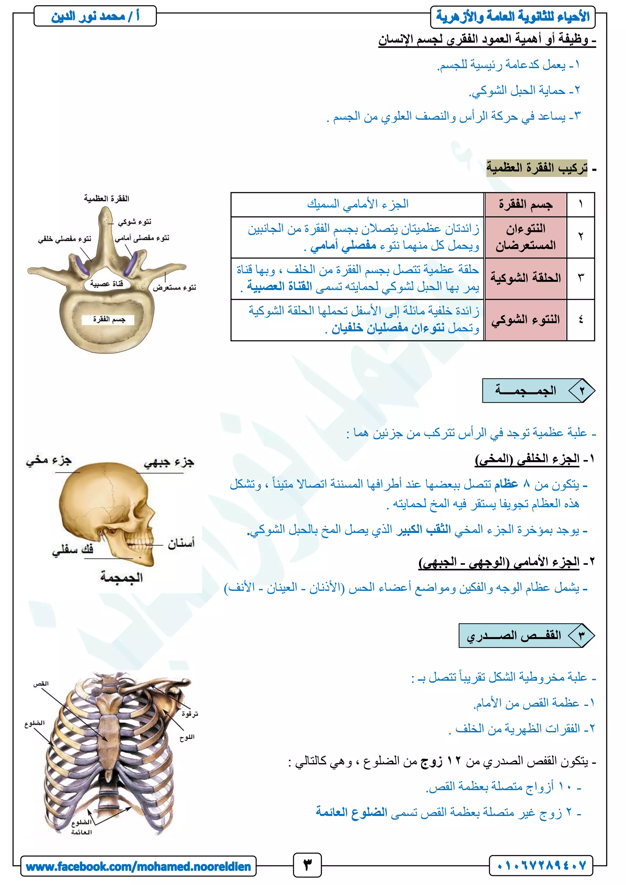 -
‫أهمية‬ ‫أو‬ ‫وظيفة‬
‫العمود‬
‫لجسم‬ ‫الفقري‬
‫اإلنسان‬
1
-
‫يعمل‬
‫كدعامة‬
‫رئيسية‬
‫للجسم‬
.
2
-
‫حماية‬
‫الحبل‬
‫الشوكي‬
.
3
-
‫يساعد‬
‫في‬
‫حركة‬
‫الرأس‬
‫والنصف‬
‫العلوي‬
‫من‬
‫الجسم‬
.
-
‫العظمية‬ ‫الفقرة‬ ‫تركيب‬
1
‫الفقرة‬ ‫جسم‬
‫السميك‬ ‫األمامي‬ ‫الجزء‬
2
‫النتوءان‬
‫المستعرضان‬
‫الجانبين‬ ‫من‬ ‫الفقرة‬ ‫بجسم‬ ‫يتصالن‬ ‫عظميتان‬ ‫زائدتان‬
‫نتوء‬ ‫منهما‬ ‫كل‬ ‫ويحمل‬
‫مفصلي‬
‫أمامي‬
.
3
‫الشوكية‬ ‫الحلقة‬
‫قناة‬ ‫وبها‬ ، ‫الخلف‬ ‫من‬ ‫الفقرة‬ ‫بجسم‬ ‫تتصل‬ ‫عظمية‬ ‫حلقة‬
‫تسمى‬ ‫لحمايته‬ ‫لشوكي‬ ‫الحبل‬ ‫بها‬ ‫يمر‬
‫القناة‬
‫العص‬
‫بية‬
.
4
‫الشوكي‬ ‫النتوء‬
‫الشوكية‬ ‫الحلقة‬ ‫تحملها‬ ‫األسفل‬ ‫إلى‬ ‫مائلة‬ ‫خلفية‬ ‫زائدة‬
‫وتحمل‬
‫نتوءان‬
‫مفصليان‬
‫خلفيان‬
.
-
: ‫هما‬ ‫جزئين‬ ‫من‬ ‫تتركب‬ ‫الرأس‬ ‫في‬ ‫توجد‬ ‫عظمية‬ ‫علبة‬
1
-
)‫(المخي‬ ‫الخلفي‬ ‫الجزء‬
-
‫يتكون‬
‫من‬
8
‫عظام‬
‫تتصل‬
‫ببعضها‬
‫عند‬
‫أطرافها‬
‫المسننة‬
‫اتصاال‬
ً‫ا‬‫متين‬
‫و‬ ،
‫تشكل‬
‫هذه‬
‫العظام‬
‫تجويفا‬
‫يستقر‬
‫فيه‬
‫المخ‬
‫لحمايته‬
.
-
‫المخي‬ ‫الجزء‬ ‫بمؤخرة‬ ‫يوجد‬
‫الكبير‬ ‫الثقب‬
‫بال‬ ‫المخ‬ ‫يصل‬ ‫الذي‬
‫الشوكي‬ ‫حبل‬
.
2
-
‫(الوجهي‬ ‫األمامي‬ ‫الجزء‬
-
)‫الجبهي‬
-
‫يشمل‬
‫عظام‬
‫الوجه‬
‫والفكين‬
‫ومواضع‬
‫أعضاء‬
‫(األذنان‬ ‫الحس‬
-
‫العينان‬
-
)‫األنف‬
-
: ‫بـ‬ ‫تتصل‬ ً‫ا‬‫تقريب‬ ‫الشكل‬ ‫مخروطية‬ ‫علبة‬
1
-
.‫األمام‬ ‫من‬ ‫القص‬ ‫عظمة‬
2
-
. ‫الخلف‬ ‫من‬ ‫الظهرية‬ ‫الفقرات‬
-
‫من‬ ‫الصدري‬ ‫القفص‬ ‫يتكون‬
12
‫زوج‬
: ‫كالتالي‬ ‫وهي‬ ، ‫الضلوع‬ ‫من‬
-
11
.‫القص‬ ‫بعظمة‬ ‫متصلة‬ ‫أزواج‬
-
2
‫ت‬ ‫القص‬ ‫بعظمة‬ ‫متصلة‬ ‫غير‬ ‫زوج‬
‫سمى‬
‫الضلوع‬
‫العائمة‬
‫الجمـــجمــــة‬ 2
‫الصــــدري‬ ‫القفـــص‬ 3
 