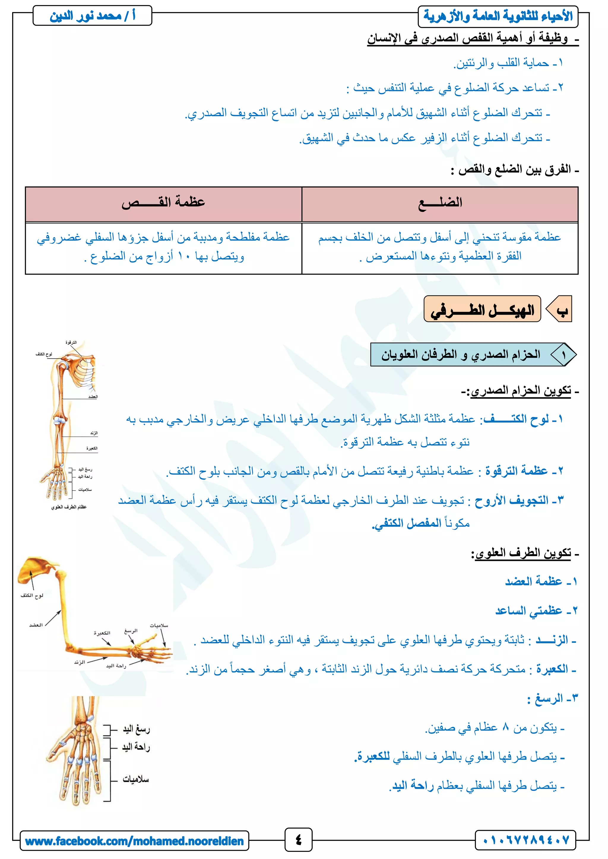 -
‫اإلنسان‬ ‫في‬ ‫الصدري‬ ‫القفص‬ ‫أهمية‬ ‫أو‬ ‫وظيفة‬
1
-
.‫والرئتين‬ ‫القلب‬ ‫حماية‬
2
-
: ‫حيث‬ ‫التنفس‬ ‫عملية‬ ‫في‬ ‫الضلوع‬ ‫حركة‬ ‫تساعد‬
-
.‫الصدري‬ ‫التجويف‬ ‫اتساع‬ ‫من‬ ‫لتزيد‬ ‫والجانبين‬ ‫لألمام‬ ‫الشهيق‬ ‫أثناء‬ ‫الضلوع‬ ‫تتحرك‬
-
‫في‬ ‫حدث‬ ‫ما‬ ‫عكس‬ ‫الزفير‬ ‫أثناء‬ ‫الضلوع‬ ‫تتحرك‬
.‫الشهيق‬
-
: ‫والقص‬ ‫الضلع‬ ‫بين‬ ‫الفرق‬
‫الضلــــع‬
‫القــــــص‬ ‫عظمة‬
‫بجسم‬ ‫الخلف‬ ‫من‬ ‫وتتصل‬ ‫أسفل‬ ‫إلى‬ ‫تنحني‬ ‫مقوسة‬ ‫عظمة‬
. ‫المستعرض‬ ‫ونتوءها‬ ‫العظمية‬ ‫الفقرة‬
‫السفلي‬ ‫جزؤها‬ ‫أسفل‬ ‫من‬ ‫ومدببة‬ ‫مفلطحة‬ ‫عظمة‬
‫غضروفي‬
‫بها‬ ‫ويتصل‬
11
. ‫الضلوع‬ ‫من‬ ‫أزواج‬
-
‫الصدري‬ ‫الحزام‬ ‫تكوين‬
:
-
1
-
‫لوح‬
‫الكتــــــف‬
‫به‬ ‫مدبب‬ ‫والخارجي‬ ‫عريض‬ ‫الداخلي‬ ‫طرفها‬ ‫الموضع‬ ‫ظهرية‬ ‫الشكل‬ ‫مثلثة‬ ‫عظمة‬ :
.‫الترقوة‬ ‫عظمة‬ ‫به‬ ‫تتصل‬ ‫نتوء‬
2
-
‫عظمة‬
‫الترقوة‬
.‫الكتف‬ ‫بلوح‬ ‫الجانب‬ ‫ومن‬ ‫بالقص‬ ‫األمام‬ ‫من‬ ‫تتصل‬ ‫رفيعة‬ ‫باطنية‬ ‫عظمة‬ :
3
-
‫التجويف‬
‫األروح‬
‫العضد‬ ‫عظمة‬ ‫رأس‬ ‫فيه‬ ‫يستقر‬ ‫الكتف‬ ‫لوح‬ ‫لعظمة‬ ‫الخارجي‬ ‫الطرف‬ ‫عند‬ ‫تجويف‬ :
ً‫ا‬‫مكون‬
‫الكتفي‬ ‫المفصل‬
.
-
‫العلوي‬ ‫الطرف‬ ‫تكوين‬
:
1
-
‫العضد‬ ‫عظمة‬
2
-
‫الساعد‬ ‫عظمتي‬
-
‫الزنــــد‬
:
. ‫للعضد‬ ‫الداخلي‬ ‫النتوء‬ ‫فيه‬ ‫يستقر‬ ‫تجويف‬ ‫على‬ ‫العلوي‬ ‫طرفها‬ ‫ويحتوي‬ ‫ثابتة‬
-
‫الكعبرة‬
:
‫الزند‬ ‫من‬ ً‫ا‬‫حجم‬ ‫أصغر‬ ‫وهي‬ ، ‫الثابتة‬ ‫الزند‬ ‫حول‬ ‫دائرية‬ ‫نصف‬ ‫حركة‬ ‫متحركة‬
.
3
-
: ‫الرسغ‬
-
‫من‬ ‫يتكون‬
8
.‫صفين‬ ‫في‬ ‫عظام‬
-
‫السفلي‬ ‫بالطرف‬ ‫العلوي‬ ‫طرفها‬ ‫يتصل‬
‫للكعبرة‬
.
-
‫بعظام‬ ‫السفلي‬ ‫طرفها‬ ‫يتصل‬
‫اليد‬ ‫راحة‬
.
‫العلويان‬ ‫الطرفان‬ ‫و‬ ‫الصدري‬ ‫الحزام‬ 1
 