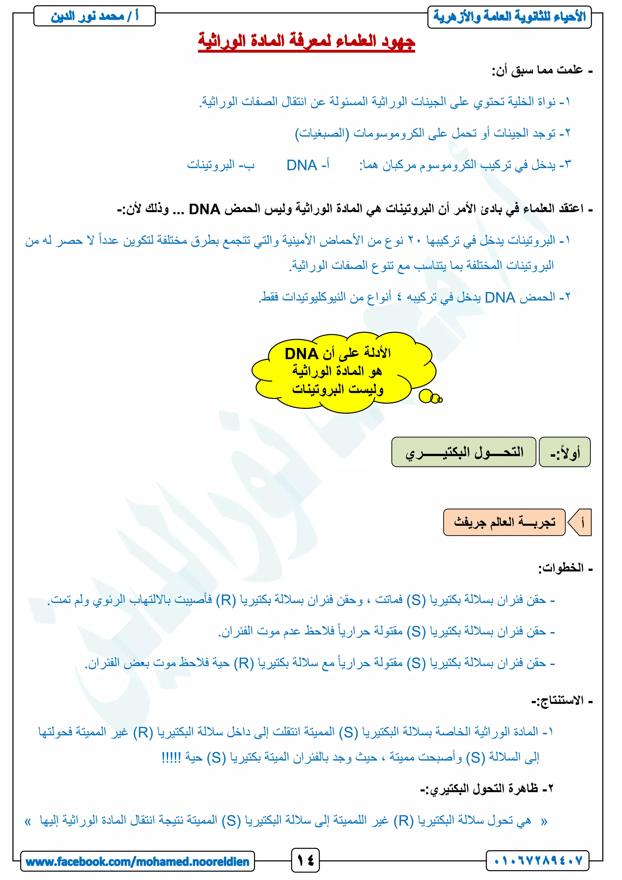 -
:‫أن‬ ‫سبق‬ ‫مما‬ ‫علمت‬
1
-
‫الوراثية‬ ‫الجينات‬ ‫على‬ ‫تحتوي‬ ‫الخلية‬ ‫نواة‬
.‫الوراثية‬ ‫الصفات‬ ‫انتقال‬ ‫عن‬ ‫المسئولة‬
2
-
)‫(الصبغيات‬ ‫الكروموسومات‬ ‫على‬ ‫تحمل‬ ‫أو‬ ‫الجينات‬ ‫توجد‬
3
-
:‫هما‬ ‫مركبان‬ ‫الكروموسوم‬ ‫تركيب‬ ‫في‬ ‫يدخل‬
‫أ‬
-
DNA
‫ب‬
-
‫البروتينات‬
-
‫الحمض‬ ‫وليس‬ ‫الوراثية‬ ‫المادة‬ ‫هي‬ ‫البروتينات‬ ‫أن‬ ‫األمر‬ ‫بادئ‬ ‫في‬ ‫العلماء‬ ‫اعتقد‬
DNA
:‫ألن‬ ‫وذلك‬ ...
-
1
-
‫البروتينات‬
‫تركيبها‬ ‫في‬ ‫يدخل‬
22
‫من‬ ‫له‬ ‫حصر‬ ‫ال‬ ً‫ا‬‫عدد‬ ‫لتكوين‬ ‫مختلفة‬ ‫بطرق‬ ‫تتجمع‬ ‫والتي‬ ‫األمينية‬ ‫األحماض‬ ‫من‬ ‫نوع‬
.‫الوراثية‬ ‫الصفات‬ ‫تنوع‬ ‫مع‬ ‫يتناسب‬ ‫بما‬ ‫المختلفة‬ ‫البروتينات‬
2
-
‫الحمض‬
DNA
‫تركيبه‬ ‫في‬ ‫يدخل‬
4
.‫فقط‬ ‫النيوكليوتيدات‬ ‫من‬ ‫أنواع‬
-
:‫الخطوات‬
-
( ‫بكتيريا‬ ‫بساللة‬ ‫فئران‬ ‫حقن‬
S
( ‫بكتيريا‬ ‫بساللة‬ ‫فئران‬ ‫وحقن‬ ، ‫فماتت‬ )
R
.‫تمت‬ ‫ولم‬ ‫الرئوي‬ ‫بااللتهاب‬ ‫فأصيبت‬ )
-
( ‫بكتيريا‬ ‫بساللة‬ ‫فئران‬ ‫حقن‬
S
.‫الفئران‬ ‫موت‬ ‫عدم‬ ‫فالحظ‬ ً‫ا‬‫حراري‬ ‫مقتولة‬ )
-
( ‫بكتيريا‬ ‫بساللة‬ ‫فئران‬ ‫حقن‬
S
‫مع‬ ً‫ا‬‫حراري‬ ‫مقتولة‬ )
( ‫بكتيريا‬ ‫ساللة‬
R
.‫الفئران‬ ‫بعض‬ ‫موت‬ ‫فالحظ‬ ‫حية‬ )
-
:‫االستنتاج‬
-
1
-
( ‫البكتيريا‬ ‫بساللة‬ ‫الخاصة‬ ‫الوراثية‬ ‫المادة‬
S
( ‫البكتيريا‬ ‫ساللة‬ ‫داخل‬ ‫إلى‬ ‫انتقلت‬ ‫المميتة‬ )
R
‫فحولتها‬ ‫المميتة‬ ‫غير‬ )
‫الساللة‬ ‫إلى‬
(
S
( ‫بكتيريا‬ ‫الميتة‬ ‫بالفئران‬ ‫وجد‬ ‫حيث‬ ، ‫مميتة‬ ‫وأصبحت‬ )
S
!!!!! ‫حية‬ )
2
-
:‫البكتيري‬ ‫التحول‬ ‫ظاهرة‬
-
«
( ‫البكتيريا‬ ‫ساللة‬ ‫تحول‬ ‫هي‬
R
( ‫البكتيريا‬ ‫ساللة‬ ‫إلى‬ ‫اللمميتة‬ ‫غير‬ )
S
‫إليها‬ ‫الوراثية‬ ‫المادة‬ ‫انتقال‬ ‫نتيجة‬ ‫المميتة‬ )
»
‫أن‬ ‫على‬ ‫األدلة‬
DNA
‫الوراثية‬ ‫المادة‬ ‫هو‬
‫البروتينات‬ ‫وليست‬
‫البكتيــــــري‬ ‫التحــــول‬ :ً‫ال‬‫أو‬
-
‫تجربـــة‬
‫جريفث‬ ‫العالم‬ ‫أ‬
 