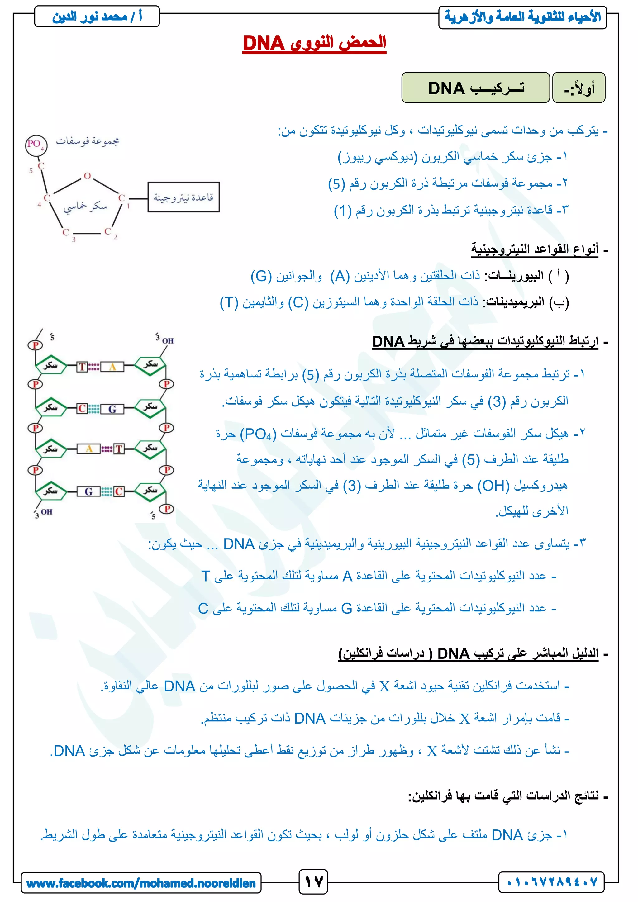 -
:‫من‬ ‫تتكون‬ ‫نيوكليوتيدة‬ ‫وكل‬ ، ‫نيوكليوتيدات‬ ‫تسمى‬ ‫وحدات‬ ‫من‬ ‫يتركب‬
1
-
)‫ريبوز‬ ‫(ديوكسي‬ ‫الكربون‬ ‫خماسي‬ ‫سكر‬ ‫جزئ‬
2
-
( ‫رقم‬ ‫الكربون‬ ‫ذرة‬ ‫مرتبطة‬ ‫فوسفات‬ ‫مجموعة‬
5
)
3
-
( ‫رقم‬ ‫الكربون‬ ‫بذرة‬ ‫ترتبط‬ ‫نيتروجينية‬ ‫قاعدة‬
1
)
-
‫النيتروجينية‬ ‫القواعد‬ ‫أنواع‬
) ‫أ‬ (
‫البيورينــات‬
:
( ‫األدينين‬ ‫وهما‬ ‫الحلقتين‬ ‫ذات‬
A
( ‫والجوانين‬ )
G
)
)‫(ب‬
‫البريميدينات‬
:
( ‫السيتوزين‬ ‫وهما‬ ‫الواحدة‬ ‫الحلقة‬ ‫ذات‬
C
( ‫والثايمين‬ )
T
)
-
‫شريط‬ ‫في‬ ‫ببعضها‬ ‫النيوكليوتيدات‬ ‫ارتباط‬
DNA
1
-
‫بذرة‬ ‫المتصلة‬ ‫الفوسفات‬ ‫مجموعة‬ ‫ترتبط‬
( ‫رقم‬ ‫الكربون‬
5
‫بذرة‬ ‫تساهمية‬ ‫برابطة‬ )
( ‫رقم‬ ‫الكربون‬
3
.‫فوسفات‬ ‫سكر‬ ‫هيكل‬ ‫فيتكون‬ ‫التالية‬ ‫النيوكليوتيدة‬ ‫سكر‬ ‫في‬ )
2
-
( ‫فوسفات‬ ‫مجموعة‬ ‫به‬ ‫ألن‬ ... ‫متماثل‬ ‫غير‬ ‫الفوسفات‬ ‫سكر‬ ‫هيكل‬
4
PO
‫حرة‬ )
( ‫الطرف‬ ‫عند‬ ‫طليقة‬
5
‫ومجموعة‬ ، ‫نهاياته‬ ‫أحد‬ ‫عند‬ ‫الموجود‬ ‫السكر‬ ‫في‬ )
( ‫هيدروكسيل‬
OH
‫حرة‬ )
( ‫الطرف‬ ‫عند‬ ‫طليقة‬
3
‫النهاية‬ ‫عند‬ ‫الموجود‬ ‫السكر‬ ‫في‬ )
.‫للهيكل‬ ‫األخرى‬
3
-
‫جزئ‬ ‫في‬ ‫والبريميدينية‬ ‫البيورينية‬ ‫النيتروجينية‬ ‫القواعد‬ ‫عدد‬ ‫يتساوى‬
DNA
:‫يكون‬ ‫حيث‬ ...
-
‫القاعدة‬ ‫على‬ ‫المحتوية‬ ‫النيوكليوتيدات‬ ‫عدد‬
A
‫على‬ ‫المحتوية‬ ‫لتلك‬ ‫مساوية‬
T
-
‫ال‬ ‫على‬ ‫المحتوية‬ ‫النيوكليوتيدات‬ ‫عدد‬
‫قاعدة‬
G
‫على‬ ‫المحتوية‬ ‫لتلك‬ ‫مساوية‬
C
-
‫تركيب‬ ‫على‬ ‫المباشر‬ ‫الدليل‬
DNA
)‫فرانكلين‬ ‫دراسات‬ (
-
‫اشعة‬ ‫حيود‬ ‫تقنية‬ ‫فرانكلين‬ ‫استخدمت‬
X
‫من‬ ‫لبللورات‬ ‫صور‬ ‫على‬ ‫الحصول‬ ‫في‬
DNA
.‫النقاوة‬ ‫عالي‬
-
‫اشعة‬ ‫بإمرار‬ ‫قامت‬
X
‫جزيئات‬ ‫من‬ ‫بللورات‬ ‫خالل‬
DNA
.‫منتظم‬ ‫تركيب‬ ‫ذات‬
-
‫ألشعة‬ ‫تشتت‬ ‫ذلك‬ ‫عن‬ ‫نشأ‬
X
‫جزئ‬ ‫شكل‬ ‫عن‬ ‫معلومات‬ ‫تحليلها‬ ‫أعطى‬ ‫نقط‬ ‫توزيع‬ ‫من‬ ‫طراز‬ ‫وظهور‬ ،
DNA
.
-
:‫فرانكلين‬ ‫بها‬ ‫قامت‬ ‫التي‬ ‫الدراسات‬ ‫نتائج‬
1
-
‫جزئ‬
DNA
.‫الشريط‬ ‫طول‬ ‫على‬ ‫متعامدة‬ ‫النيتروجينية‬ ‫القواعد‬ ‫تكون‬ ‫بحيث‬ ، ‫لولب‬ ‫أو‬ ‫حلزون‬ ‫شكل‬ ‫على‬ ‫ملتف‬
‫تـــركيـــب‬
DNA :ً‫ال‬‫أو‬
-
 