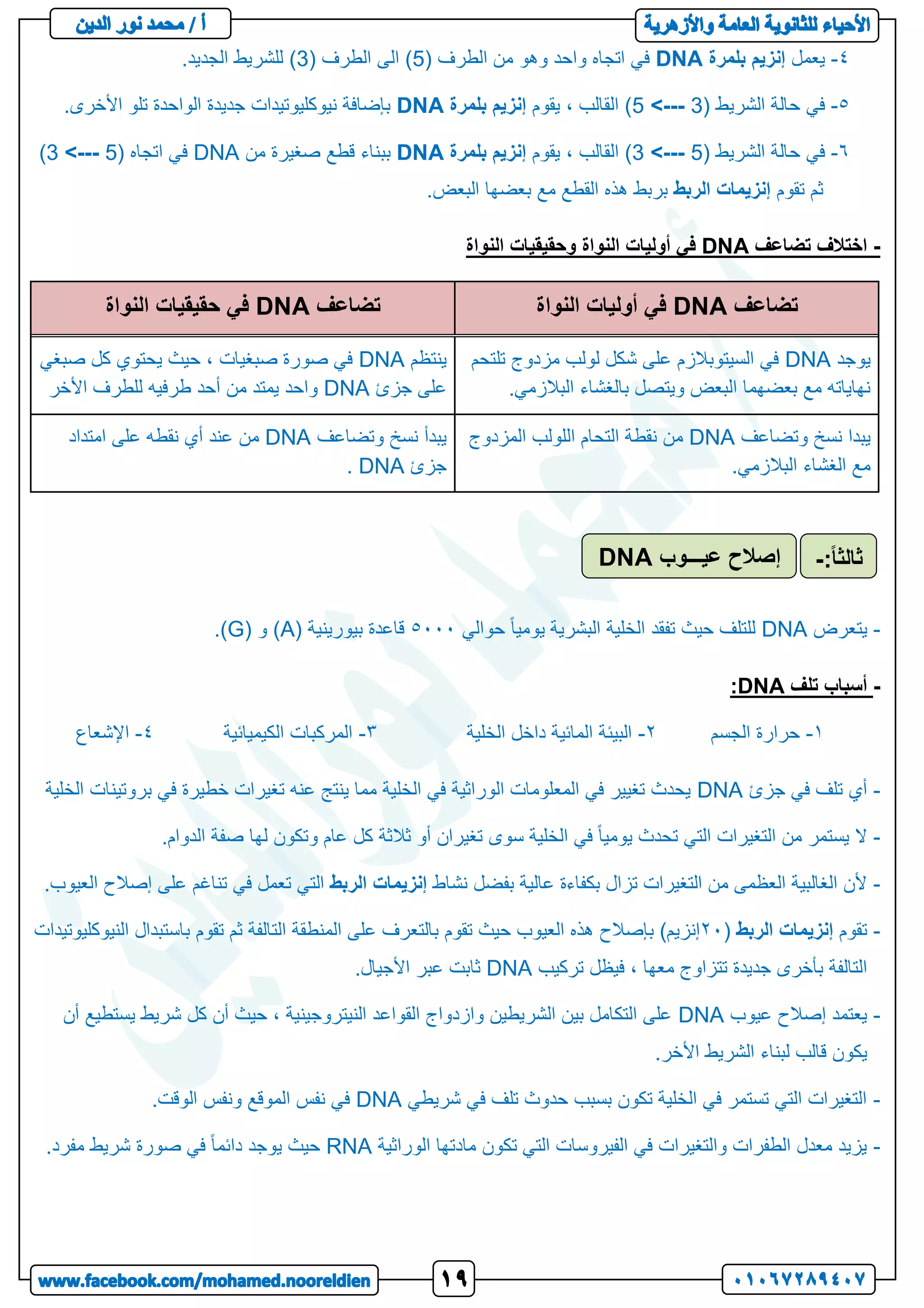 4
-
‫يعمل‬
‫بلمرة‬ ‫إنزيم‬
DNA
( ‫الطرف‬ ‫من‬ ‫وهو‬ ‫واحد‬ ‫اتجاه‬ ‫في‬
5
( ‫الطرف‬ ‫الى‬ )
3
.‫الجديد‬ ‫للشريط‬ )
5
-
( ‫الشريط‬ ‫حالة‬ ‫في‬
5 <--- 3
‫يقوم‬ ، ‫القالب‬ )
‫بلمرة‬ ‫إنزيم‬
DNA
.‫األخرى‬ ‫تلو‬ ‫الواحدة‬ ‫جديدة‬ ‫نيوكليوتيدات‬ ‫بإضافة‬
6
-
( ‫الشريط‬ ‫حالة‬ ‫في‬
3 <--- 5
‫القالب‬ )
‫يقوم‬ ،
‫بلمرة‬ ‫إنزيم‬
DNA
‫من‬ ‫صغيرة‬ ‫قطع‬ ‫ببناء‬
DNA
( ‫اتجاه‬ ‫في‬
3 <--- 5
)
‫تقوم‬ ‫ثم‬
‫الربط‬ ‫إنزيمات‬
.‫البعض‬ ‫بعضها‬ ‫مع‬ ‫القطع‬ ‫هذه‬ ‫بربط‬
-
‫تضاعف‬ ‫اختالف‬
DNA
‫النوا‬ ‫وحقيقيات‬ ‫النواة‬ ‫أوليات‬ ‫في‬
‫ة‬
‫تضاعف‬
DNA
‫النواة‬ ‫أوليات‬ ‫في‬
‫تضاعف‬
DNA
‫النواة‬ ‫حقيقيات‬ ‫في‬
‫يوجد‬
DNA
‫تلتحم‬ ‫مزدوج‬ ‫لولب‬ ‫شكل‬ ‫على‬ ‫السيتوبالزم‬ ‫في‬
.‫البالزمي‬ ‫بالغشاء‬ ‫ويتصل‬ ‫البعض‬ ‫بعضهما‬ ‫مع‬ ‫نهاياته‬
‫ينتظم‬
DNA
‫صبغي‬ ‫كل‬ ‫يحتوي‬ ‫حيث‬ ، ‫صبغيات‬ ‫صورة‬ ‫في‬
‫جزئ‬ ‫على‬
DNA
‫األخر‬ ‫للطرف‬ ‫طرفيه‬ ‫أحد‬ ‫من‬ ‫يمتد‬ ‫واحد‬
‫وتضاعف‬ ‫نسخ‬ ‫يبدا‬
DNA
‫المزدوج‬ ‫اللولب‬ ‫التحام‬ ‫نقطة‬ ‫من‬
.‫البالزمي‬ ‫الغشاء‬ ‫مع‬
‫وتضاعف‬ ‫نسخ‬ ‫يبدأ‬
DNA
‫امتداد‬ ‫على‬ ‫نقطه‬ ‫أي‬ ‫عند‬ ‫من‬
‫جزئ‬
DNA
.
-
‫يتعرض‬
DNA
‫حوالي‬ ً‫ا‬‫يومي‬ ‫البشرية‬ ‫الخلية‬ ‫تفقد‬ ‫حيث‬ ‫للتلف‬
5222
( ‫بيورينية‬ ‫قاعدة‬
A
( ‫و‬ )
G
.)
-
‫تلف‬ ‫أسباب‬
DNA
:
1
-
‫الجسم‬ ‫حرارة‬
2
-
‫الخلية‬ ‫داخل‬ ‫المائية‬ ‫البيئة‬
3
-
‫الكيميائية‬ ‫المركبات‬
4
-
‫اإلشعاع‬
-
‫جزئ‬ ‫في‬ ‫تلف‬ ‫أي‬
DNA
‫الخلية‬ ‫بروتينات‬ ‫في‬ ‫خطيرة‬ ‫تغيرات‬ ‫عنه‬ ‫ينتج‬ ‫مما‬ ‫الخلية‬ ‫في‬ ‫الوراثية‬ ‫المعلومات‬ ‫في‬ ‫تغيير‬ ‫يحدث‬
-
‫ثال‬ ‫أو‬ ‫تغيران‬ ‫سوى‬ ‫الخلية‬ ‫في‬ ً‫ا‬‫يومي‬ ‫تحدث‬ ‫التي‬ ‫التغيرات‬ ‫من‬ ‫يستمر‬ ‫ال‬
.‫الدوام‬ ‫صفة‬ ‫لها‬ ‫وتكون‬ ‫عام‬ ‫كل‬ ‫ثة‬
-
‫نشاط‬ ‫بفضل‬ ‫عالية‬ ‫بكفاءة‬ ‫تزال‬ ‫التغيرات‬ ‫من‬ ‫العظمى‬ ‫الغالبية‬ ‫ألن‬
‫الربط‬ ‫إنزيمات‬
‫العي‬ ‫إصالح‬ ‫على‬ ‫تناغم‬ ‫في‬ ‫تعمل‬ ‫التي‬
.‫وب‬
-
‫تقوم‬
‫الربط‬ ‫إنزيمات‬
(
22
‫النيوكليوتيدات‬ ‫باستبدال‬ ‫تقوم‬ ‫ثم‬ ‫التالفة‬ ‫المنطقة‬ ‫على‬ ‫بالتعرف‬ ‫تقوم‬ ‫حيث‬ ‫العيوب‬ ‫هذه‬ ‫بإصالح‬ )‫إنزيم‬
‫تركيب‬ ‫فيظل‬ ، ‫معها‬ ‫تتزاوج‬ ‫جديدة‬ ‫بأخرى‬ ‫التالفة‬
DNA
.‫األجيال‬ ‫عبر‬ ‫ثابت‬
-
‫يعتمد‬
‫عيوب‬ ‫إصالح‬
DNA
‫أن‬ ‫يستطيع‬ ‫شريط‬ ‫كل‬ ‫أن‬ ‫حيث‬ ، ‫النيتروجينية‬ ‫القواعد‬ ‫وازدواج‬ ‫الشريطين‬ ‫بين‬ ‫التكامل‬ ‫على‬
.‫األخر‬ ‫الشريط‬ ‫لبناء‬ ‫قالب‬ ‫يكون‬
-
‫شريطي‬ ‫في‬ ‫تلف‬ ‫حدوث‬ ‫بسبب‬ ‫تكون‬ ‫الخلية‬ ‫في‬ ‫تستمر‬ ‫التي‬ ‫التغيرات‬
DNA
.‫الوقت‬ ‫ونفس‬ ‫الموقع‬ ‫نفس‬ ‫في‬
-
‫الوراثية‬ ‫مادتها‬ ‫تكون‬ ‫التي‬ ‫الفيروسات‬ ‫في‬ ‫والتغيرات‬ ‫الطفرات‬ ‫معدل‬ ‫يزيد‬
RNA
.‫مفرد‬ ‫شريط‬ ‫صورة‬ ‫في‬ ً‫ا‬‫دائم‬ ‫يوجد‬ ‫حيث‬
‫عيـــوب‬ ‫إصالح‬
DNA :ً‫ا‬‫ثالث‬
-
 