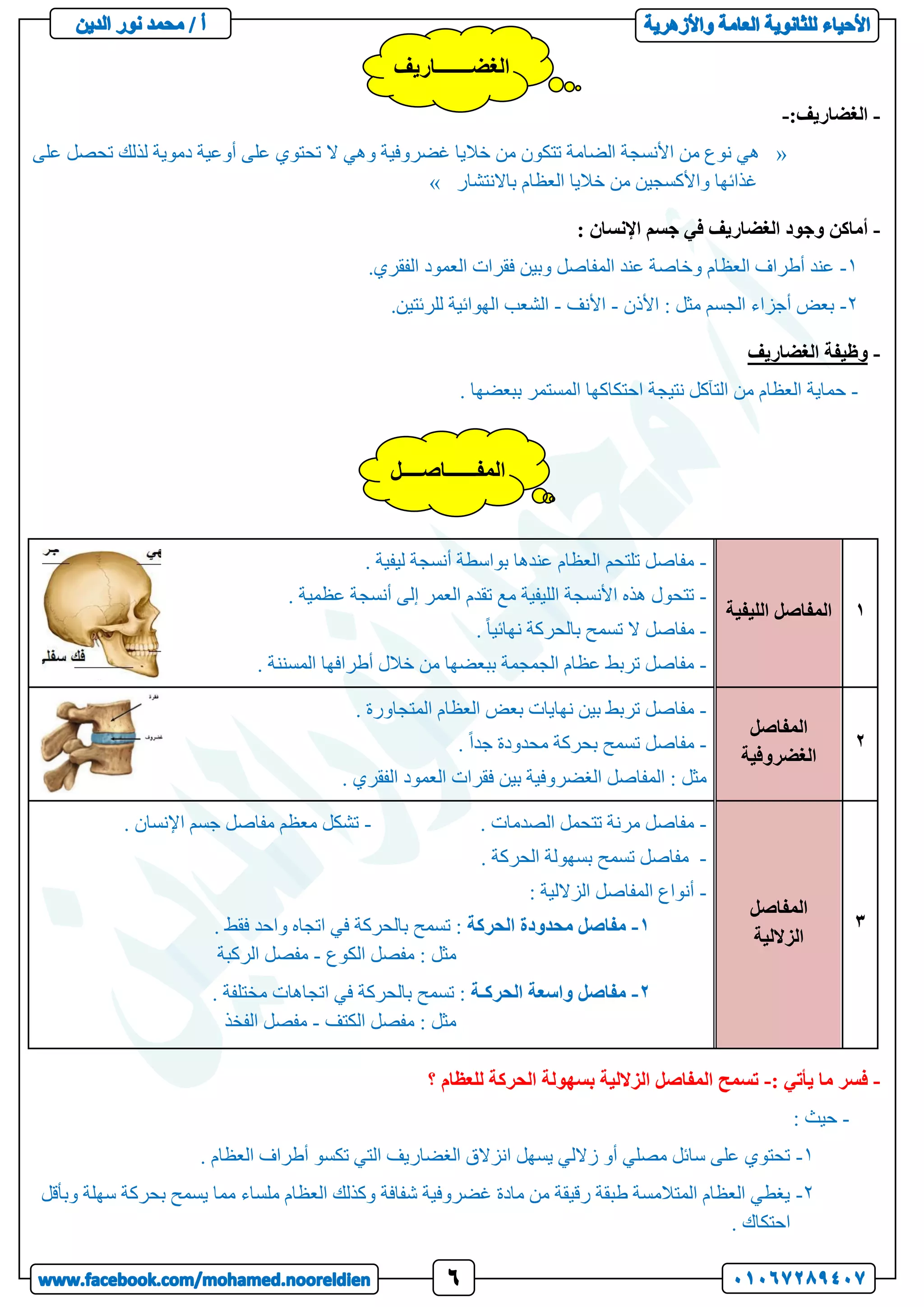 -
:‫الغضاريف‬
-
«
‫على‬ ‫تحصل‬ ‫لذلك‬ ‫دموية‬ ‫أوعية‬ ‫على‬ ‫تحتوي‬ ‫ال‬ ‫وهي‬ ‫غضروفية‬ ‫خاليا‬ ‫من‬ ‫تتكون‬ ‫الضامة‬ ‫األنسجة‬ ‫من‬ ‫نوع‬ ‫هي‬
‫باالنتشار‬ ‫العظام‬ ‫خاليا‬ ‫من‬ ‫واألكسجين‬ ‫غذائها‬
»
-
: ‫اإلنسان‬ ‫جسم‬ ‫في‬ ‫الغضاريف‬ ‫وجود‬ ‫أماكن‬
1
-
.‫الفقري‬ ‫العمود‬ ‫فقرات‬ ‫وبين‬ ‫المفاصل‬ ‫عند‬ ‫وخاصة‬ ‫العظام‬ ‫أطراف‬ ‫عند‬
2
-
‫األذن‬ : ‫مثل‬ ‫الجسم‬ ‫أجزاء‬ ‫بعض‬
-
‫األنف‬
-
.‫للرئتين‬ ‫الهوائية‬ ‫الشعب‬
-
‫الغضاريف‬ ‫وظيفة‬
-
‫حماية‬
. ‫ببعضها‬ ‫المستمر‬ ‫احتكاكها‬ ‫نتيجة‬ ‫التآكل‬ ‫من‬ ‫العظام‬
-
: ‫يأتي‬ ‫ما‬ ‫فسر‬
-
‫؟‬ ‫للعظام‬ ‫الحركة‬ ‫بسهولة‬ ‫الزاللية‬ ‫المفاصل‬ ‫تسمح‬
-
: ‫حيث‬
1
-
‫أطراف‬ ‫تكسو‬ ‫التي‬ ‫الغضاريف‬ ‫انزالق‬ ‫يسهل‬ ‫زاللي‬ ‫أو‬ ‫مصلي‬ ‫سائل‬ ‫على‬ ‫تحتوي‬
. ‫العظام‬
2
-
‫وبأقل‬ ‫سهلة‬ ‫بحركة‬ ‫يسمح‬ ‫مما‬ ‫ملساء‬ ‫العظام‬ ‫وكذلك‬ ‫شفافة‬ ‫غضروفية‬ ‫مادة‬ ‫من‬ ‫رقيقة‬ ‫طبقة‬ ‫المتالمسة‬ ‫العظام‬ ‫يغطي‬
. ‫احتكاك‬
1
‫المفاصل‬
‫الليفي‬
‫ة‬
-
. ‫ليفية‬ ‫أنسجة‬ ‫بواسطة‬ ‫عندها‬ ‫العظام‬ ‫تلتحم‬ ‫مفاصل‬
-
‫م‬ ‫الليفية‬ ‫األنسجة‬ ‫هذه‬ ‫تتحول‬
. ‫عظمية‬ ‫أنسجة‬ ‫إلى‬ ‫العمر‬ ‫تقدم‬ ‫ع‬
-
. ً‫ا‬‫نهائي‬ ‫بالحركة‬ ‫تسمح‬ ‫ال‬ ‫مفاصل‬
-
. ‫المسننة‬ ‫أطرافها‬ ‫خالل‬ ‫من‬ ‫ببعضها‬ ‫الجمجمة‬ ‫عظام‬ ‫تربط‬ ‫مفاصل‬
2
‫المفاصل‬
‫الغضروفية‬
-
. ‫المتجاورة‬ ‫العظام‬ ‫بعض‬ ‫نهايات‬ ‫بين‬ ‫تربط‬ ‫مفاصل‬
-
. ً‫ا‬‫جد‬ ‫محدودة‬ ‫بحركة‬ ‫تسمح‬ ‫مفاصل‬
. ‫الفقري‬ ‫العمود‬ ‫فقرات‬ ‫بين‬ ‫الغضروفية‬ ‫المفاصل‬ : ‫مثل‬
3
‫المفاصل‬
‫الزاللية‬
-
. ‫الصدمات‬ ‫تتحمل‬ ‫مرنة‬ ‫مفاصل‬
-
. ‫اإلنسان‬ ‫جسم‬ ‫مفاصل‬ ‫معظم‬ ‫تشكل‬
-
‫ب‬ ‫تسمح‬ ‫مفاصل‬
. ‫الحركة‬ ‫سهولة‬
-
: ‫الزاللية‬ ‫المفاصل‬ ‫أنواع‬
1
-
‫مفاصل‬
‫محدودة‬
‫الحركة‬
. ‫فقط‬ ‫واحد‬ ‫اتجاه‬ ‫في‬ ‫بالحركة‬ ‫تسمح‬ :
‫الكوع‬ ‫مفصل‬ : ‫مثل‬
-
‫الركبة‬ ‫مفصل‬
2
-
‫مفاصل‬
‫واسعة‬
‫الحركـة‬
. ‫مختلفة‬ ‫اتجاهات‬ ‫في‬ ‫بالحركة‬ ‫تسمح‬ :
‫الكتف‬ ‫مفصل‬ : ‫مثل‬
-
‫الفخذ‬ ‫مفصل‬
‫الغضـــــــاريف‬
‫المفــــــاصــــل‬
 