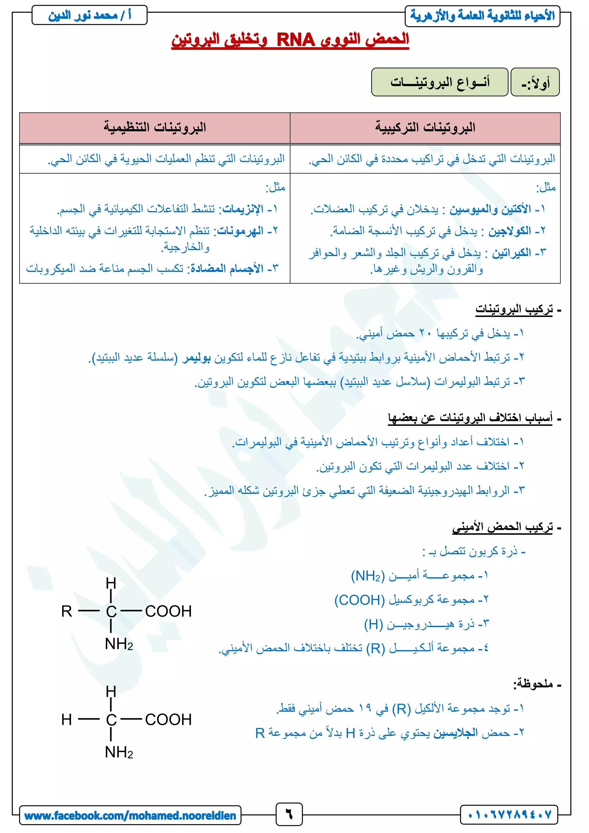 ‫التركيبية‬ ‫البروتينات‬
‫التنظيمية‬ ‫البروتينات‬
.‫الحي‬ ‫الكائن‬ ‫في‬ ‫محددة‬ ‫تراكيب‬ ‫في‬ ‫تدخل‬ ‫التي‬ ‫البروتينات‬
.‫الحي‬ ‫الكائن‬ ‫في‬ ‫الحيوية‬ ‫العمليات‬ ‫تنظم‬ ‫التي‬ ‫البروتينات‬
:‫مثل‬
1
-
‫األكتين‬
‫والميوسين‬
.‫العضالت‬ ‫تركيب‬ ‫في‬ ‫يدخالن‬ :
2
-
‫الكوالجين‬
.‫الضامة‬ ‫األنسجة‬ ‫تركيب‬ ‫في‬ ‫يدخل‬ :
3
-
‫الكيراتين‬
‫والحوافر‬ ‫والشعر‬ ‫الجلد‬ ‫تركيب‬ ‫في‬ ‫يدخل‬ :
.‫وغيرها‬ ‫والريش‬ ‫والقرون‬
:‫مثل‬
1
-
‫اإلنزيمات‬
.‫الجسم‬ ‫في‬ ‫الكيميائية‬ ‫التفاعالت‬ ‫تنشط‬ :
2
-
‫الهرمونات‬
‫الداخلية‬ ‫بيئته‬ ‫في‬ ‫للتغيرات‬ ‫االستجابة‬ ‫تنظم‬ :
.‫والخارجية‬
3
-
‫المضادة‬ ‫األجسام‬
‫تكسب‬ :
‫الميكروبات‬ ‫ضد‬ ‫مناعة‬ ‫الجسم‬
-
‫البروتينات‬ ‫تركيب‬
1
-
‫تركيبها‬ ‫في‬ ‫يدخل‬
21
.‫أميني‬ ‫حمض‬
2
-
‫لتكوين‬ ‫للماء‬ ‫نازع‬ ‫تفاعل‬ ‫في‬ ‫ببتيدية‬ ‫بروابط‬ ‫األمينية‬ ‫األحماض‬ ‫ترتبط‬
‫بوليمر‬
.)‫الببتيد‬ ‫عديد‬ ‫(سلسلة‬
3
-
.‫البروتين‬ ‫لتكوين‬ ‫البعض‬ ‫ببعضها‬ )‫الببتيد‬ ‫عديد‬ ‫(سالسل‬ ‫البوليمرات‬ ‫ترتبط‬
-
‫بعضها‬ ‫عن‬ ‫البروتينات‬ ‫اختالف‬ ‫أسباب‬
1
-
.‫البوليمرات‬ ‫في‬ ‫األمينية‬ ‫األحماض‬ ‫وترتيب‬ ‫وأنواع‬ ‫أعداد‬ ‫اختالف‬
2
-
.‫البروتين‬ ‫تكون‬ ‫التي‬ ‫البوليمرات‬ ‫عدد‬ ‫اختالف‬
3
-
.‫المميز‬ ‫شكله‬ ‫البروتين‬ ‫جزئ‬ ‫تعطي‬ ‫التي‬ ‫الضعيفة‬ ‫الهيدروجينية‬ ‫الروابط‬
-
‫األميني‬ ‫الحمض‬ ‫تركيب‬
-
: ‫بـ‬ ‫تتصل‬ ‫كربون‬ ‫ذرة‬
1
-
( ‫أميــــن‬ ‫مجموعـــــة‬
2
NH
)
2
-
( ‫كربوكسيل‬ ‫مجموعة‬
COOH
)
3
-
( ‫هيـــــدروجيـــن‬ ‫ذرة‬
H
)
1
-
( ‫ألـكـيــــــل‬ ‫مجموعة‬
R
.‫األميني‬ ‫الحمض‬ ‫باختالف‬ ‫تختلف‬ )
-
:‫ملحوظة‬
1
-
( ‫األلكيل‬ ‫مجموعة‬ ‫توجد‬
R
‫في‬ )
11
.‫فقط‬ ‫أميني‬ ‫حمض‬
2
-
‫حمض‬
‫الجاليسين‬
‫ذرة‬ ‫على‬ ‫يحتوي‬
H
‫مجموعة‬ ‫من‬ ً‫ال‬‫بد‬
R
C
2
NH
R
H
COOH
C
2
NH
H
H
COOH
‫البروتينـــات‬ ‫أنــواع‬ :ً‫ال‬‫أو‬
-
 