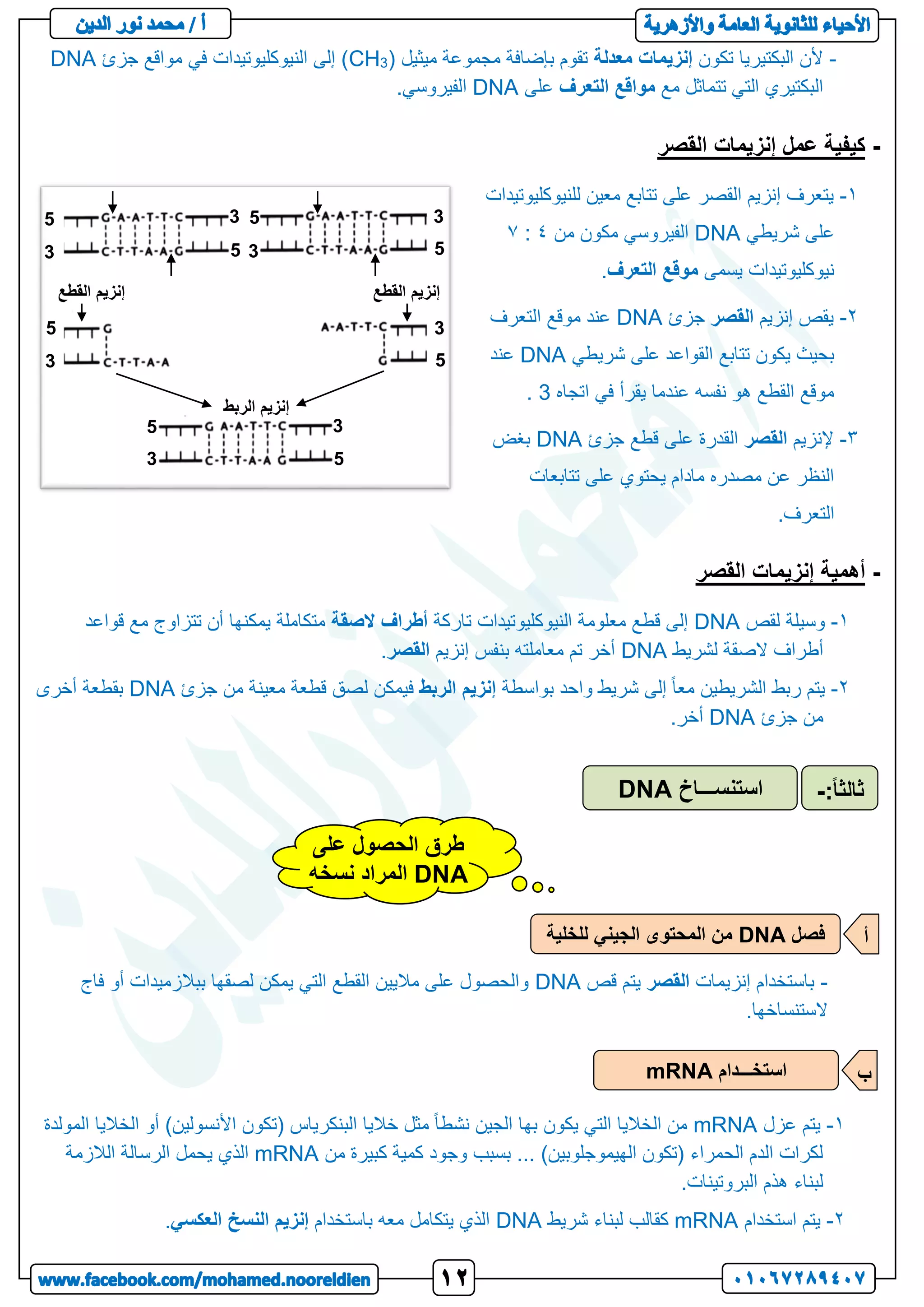 -
‫تكون‬ ‫البكتيريا‬ ‫ألن‬
‫معدلة‬ ‫إنزيمات‬
( ‫ميثيل‬ ‫مجموعة‬ ‫بإضافة‬ ‫تقوم‬
3
CH
‫جزئ‬ ‫مواقع‬ ‫في‬ ‫النيوكليوتيدات‬ ‫إلى‬ )
DNA
‫مع‬ ‫تتماثل‬ ‫التي‬ ‫البكتيري‬
‫التعرف‬ ‫مواقع‬
‫على‬
DNA
.‫الفيروسي‬
-
‫القصر‬ ‫إنزيمات‬ ‫عمل‬ ‫كيفية‬
1
-
‫يتعرف‬
‫القصر‬ ‫إنزيم‬
‫للنيوكليوتيدا‬ ‫معين‬ ‫تتابع‬ ‫على‬
‫ت‬
‫شريطي‬ ‫على‬
DNA
‫من‬ ‫مكون‬ ‫الفيروسي‬
1
:
0
‫يسمى‬ ‫نيوكليوتيدات‬
‫التعرف‬ ‫موقع‬
.
2
-
‫يقص‬
‫إنزيم‬
‫القصر‬
‫جزئ‬
DNA
‫عند‬
‫التعرف‬ ‫موقع‬
‫شريطي‬ ‫على‬ ‫القواعد‬ ‫تتابع‬ ‫يكون‬ ‫بحيث‬
DNA
‫عند‬
‫اتجاه‬ ‫في‬ ‫يقرأ‬ ‫عندما‬ ‫نفسه‬ ‫هو‬ ‫القطع‬ ‫موقع‬
3
.
3
-
‫إلنزيم‬
‫القصر‬
‫جزئ‬ ‫قطع‬ ‫على‬ ‫القدرة‬
DNA
‫بغض‬
‫تتابعات‬ ‫على‬ ‫يحتوي‬ ‫مادام‬ ‫مصدره‬ ‫عن‬ ‫النظر‬
.‫التعرف‬
-
‫القصر‬ ‫إنزيمات‬ ‫أهمية‬
1
-
‫لقص‬ ‫وسيلة‬
DNA
‫النيوك‬ ‫معلومة‬ ‫قطع‬ ‫إلى‬
‫تاركة‬ ‫ليوتيدات‬
‫أطراف‬
‫الصقة‬
‫قواعد‬ ‫مع‬ ‫تتزاوج‬ ‫أن‬ ‫يمكنها‬ ‫متكاملة‬
‫لشريط‬ ‫الصقة‬ ‫أطراف‬
DNA
‫بنفس‬ ‫معاملته‬ ‫تم‬ ‫أخر‬
‫إنزيم‬
‫القصر‬
.
2
-
‫بواسطة‬ ‫واحد‬ ‫شريط‬ ‫إلى‬ ً‫ا‬‫مع‬ ‫الشريطين‬ ‫ربط‬ ‫يتم‬
‫إنزيم‬
‫الربط‬
‫جزئ‬ ‫من‬ ‫معينة‬ ‫قطعة‬ ‫لصق‬ ‫فيمكن‬
DNA
‫أخرى‬ ‫بقطعة‬
‫جزئ‬ ‫من‬
DNA
.‫أخر‬
-
‫إنزيمات‬ ‫باستخدام‬
‫القصر‬
‫قص‬ ‫يتم‬
DNA
‫فاج‬ ‫أو‬ ‫ببالزميدات‬ ‫لصقها‬ ‫يمكن‬ ‫التي‬ ‫القطع‬ ‫ماليين‬ ‫على‬ ‫والحصول‬
.‫الستنساخها‬
1
-
‫عزل‬ ‫يتم‬
mRNA
‫المولدة‬ ‫الخاليا‬ ‫أو‬ )‫األنسولين‬ ‫(تكون‬ ‫البنكرياس‬ ‫خاليا‬ ‫مثل‬ ً‫ا‬‫نشط‬ ‫الجين‬ ‫بها‬ ‫يكون‬ ‫التي‬ ‫الخاليا‬ ‫من‬
‫من‬ ‫كبيرة‬ ‫كمية‬ ‫وجود‬ ‫بسبب‬ ... )‫الهيموجلوبين‬ ‫(تكون‬ ‫الحمراء‬ ‫الدم‬ ‫لكرات‬
mRNA
‫الالزمة‬ ‫الرسالة‬ ‫يحمل‬ ‫الذي‬
.‫البروتينات‬ ‫هذم‬ ‫لبناء‬
2
-
‫استخدام‬ ‫يتم‬
mRNA
‫شريط‬ ‫لبناء‬ ‫كقالب‬
DNA
‫باستخدام‬ ‫معه‬ ‫يتكامل‬ ‫الذي‬
‫إنزيم‬
‫النسخ‬
‫العكسي‬
.
‫القطع‬ ‫إنزيم‬ ‫القطع‬ ‫إنزيم‬
‫إنزيم‬
‫الربط‬
5
3
5
3 5
3
5
3
5
3
5
3
5
3
5
3
‫استنســـاخ‬
DNA :ً‫ا‬‫ثالث‬
-
‫فصل‬
DNA
‫للخلية‬ ‫الجيني‬ ‫المحتوى‬ ‫من‬ ‫أ‬
‫استخـــدام‬
mRNA ‫ب‬
‫على‬ ‫الحصول‬ ‫طرق‬
DNA
‫نسخه‬ ‫المراد‬
 