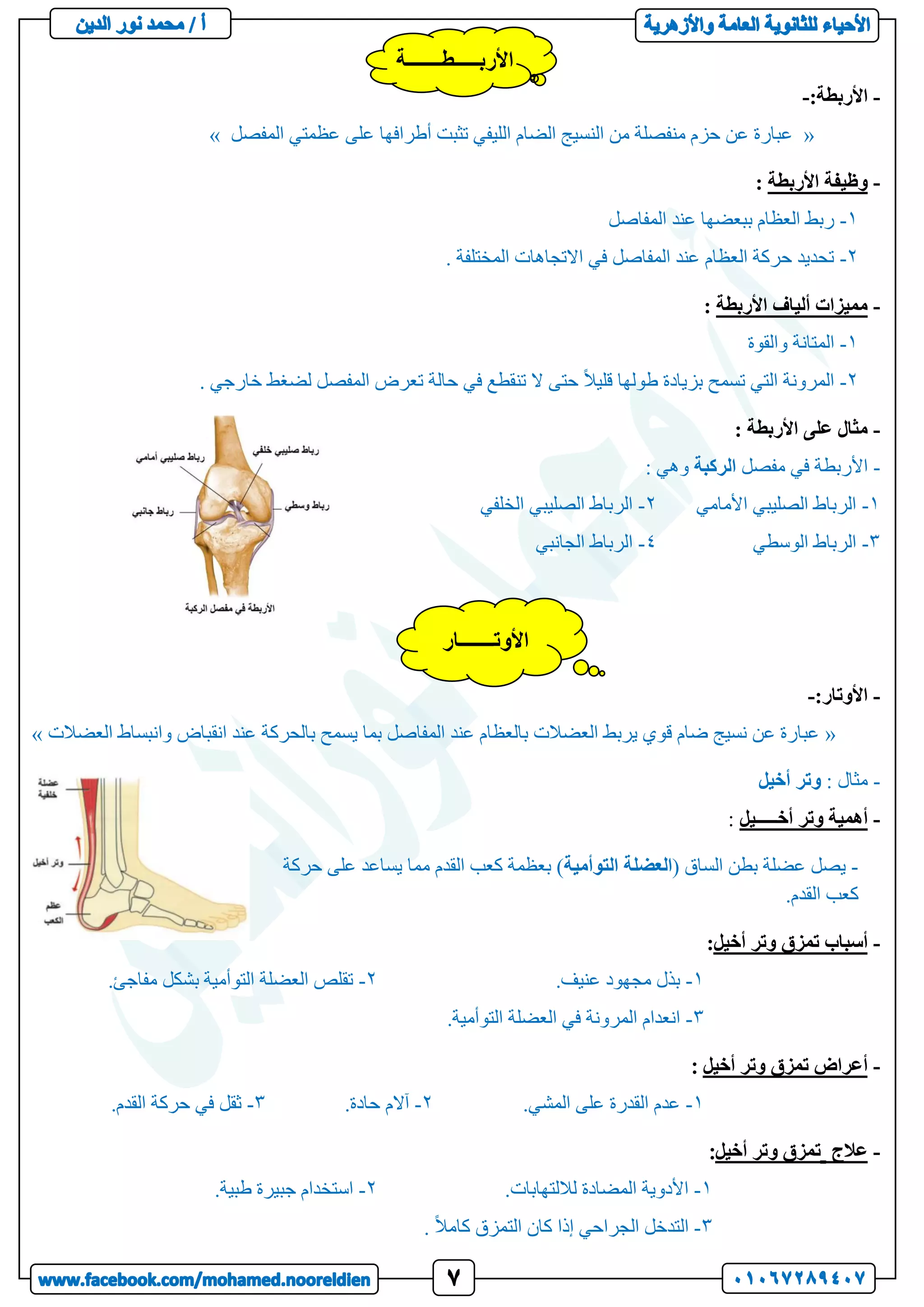 -
:‫األربطة‬
-
«
‫المفصل‬ ‫عظمتي‬ ‫على‬ ‫أطرافها‬ ‫تثبت‬ ‫الليفي‬ ‫الضام‬ ‫النسيج‬ ‫من‬ ‫منفصلة‬ ‫حزم‬ ‫عن‬ ‫عبارة‬
»
-
‫األربطة‬ ‫وظيفة‬
:
1
-
‫المفاصل‬ ‫عند‬ ‫ببعضها‬ ‫العظام‬ ‫ربط‬
2
-
. ‫المختلفة‬ ‫االتجاهات‬ ‫في‬ ‫المفاصل‬ ‫عند‬ ‫العظام‬ ‫حركة‬ ‫تحديد‬
-
‫األربطة‬ ‫ألياف‬ ‫مميزات‬
:
1
-
‫والقوة‬ ‫المتانة‬
2
-
. ‫خارجي‬ ‫لضغط‬ ‫المفصل‬ ‫تعرض‬ ‫حالة‬ ‫في‬ ‫تنقطع‬ ‫ال‬ ‫حتى‬ ً‫ال‬‫قلي‬ ‫طولها‬ ‫بزيادة‬ ‫تسمح‬ ‫التي‬ ‫المرونة‬
-
: ‫األربطة‬ ‫على‬ ‫مثال‬
-
‫مفصل‬ ‫في‬ ‫األربطة‬
‫الركبة‬
: ‫وهي‬
1
-
‫األمامي‬ ‫الصليبي‬ ‫الرباط‬
2
-
‫الخلفي‬ ‫الصليبي‬ ‫الرباط‬
3
-
‫الوسطي‬ ‫الرباط‬
4
-
‫الجانبي‬ ‫الرباط‬
-
:‫األوتار‬
-
«
‫العضالت‬ ‫وانبساط‬ ‫انقباض‬ ‫عند‬ ‫بالحركة‬ ‫يسمح‬ ‫بما‬ ‫المفاصل‬ ‫عند‬ ‫بالعظام‬ ‫العضالت‬ ‫يربط‬ ‫قوي‬ ‫ضام‬ ‫نسيج‬ ‫عن‬ ‫عبارة‬
»
-
: ‫مثال‬
‫وتر‬
‫أخيل‬
-
‫أخـــــيل‬ ‫وتر‬ ‫أهمية‬
:
-
( ‫الساق‬ ‫بطن‬ ‫عضلة‬ ‫يصل‬
‫العضلة‬
‫التوأمية‬
‫حركة‬ ‫على‬ ‫يساعد‬ ‫مما‬ ‫القدم‬ ‫كعب‬ ‫بعظمة‬ )
.‫القدم‬ ‫كعب‬
-
‫أخيل‬ ‫وتر‬ ‫تمزق‬ ‫أسباب‬
:
1
-
.‫عنيف‬ ‫مجهود‬ ‫بذل‬
2
-
.‫مفاجئ‬ ‫بشكل‬ ‫التوأمية‬ ‫العضلة‬ ‫تقلص‬
3
-
.‫التوأمية‬ ‫العضلة‬ ‫في‬ ‫المرونة‬ ‫انعدام‬
-
‫أخيل‬ ‫وتر‬ ‫تمزق‬ ‫أعراض‬
1
-
.‫المشي‬ ‫على‬ ‫القدرة‬ ‫عدم‬
2
-
.‫حادة‬ ‫آالم‬
3
-
.‫القدم‬ ‫حركة‬ ‫في‬ ‫ثقل‬
-
‫عالج‬
‫أخيل‬ ‫وتر‬ ‫تمزق‬
1
-
.‫لاللتهابات‬ ‫المضادة‬ ‫األدوية‬
2
-
.‫طبية‬ ‫جبيرة‬ ‫استخدام‬
3
-
‫إذ‬ ‫الجراحي‬ ‫التدخل‬
. ً‫ال‬‫كام‬ ‫التمزق‬ ‫كان‬ ‫ا‬
‫األربـــــطـــــــة‬
‫األوتـــــــار‬
 