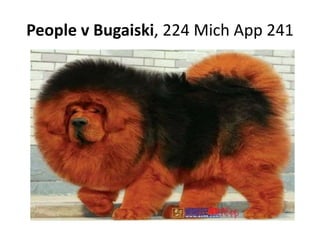 People v Bugaiski, 224 Mich App 241
 