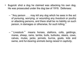 • Bugaiski shot a dog he claimed was attacking his own dog.
He was prosecuted under the dog law of 1919. Defenses:
– “Any person . . . may kill any dog which he sees in the act
of pursuing, worrying, or wounding any livestock or poultry
or attacking persons, and there shall be no liability on such
person, in damages or otherwise, for such killing.”
– “ Livestock ” means horses, stallions, colts, geldings,
mares, sheep, rams, lambs, bulls, bullocks, steers, cows,
calves, mules, jacks, jennets, burros, goats, kids and
swine, and fur-bearing animals being raised in captivity.
 