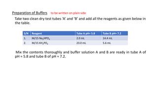 Preparation of Buffers to be written on plain side
Take two clean dry test tubes ‘A’ and ‘B’ and add all the reagents as given below in
the table.
Mix the contents thoroughly and buffer solution A and B are ready in tube A of
pH ≈ 5.8 and tube B of pH ≈ 7.2.
S/N Reagent Tube A pH= 5.8 Tube B pH= 7.2
1. M/15 Na2HPO4 2.0 mL 14.4 mL
2. M/15 KH2PO4 23.0 mL 5.6 mL
 