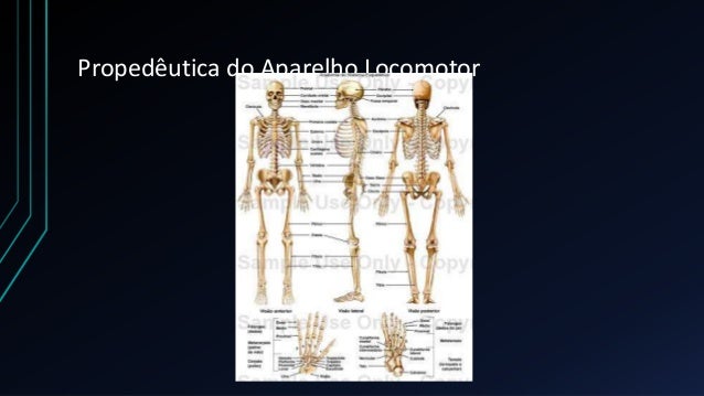 Exame fisico dos membros inferiores