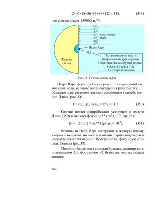 2+10+18+36+54+86+112 = 318,               (349)

что соответствует 159000 mc**.
                   7––––––––––He²––––––––––
                   6––––––––––Ne10
                   5––––––––––Ar18
                   4––––––––––Kr36 Семь уровней
                   3––––––––––Xe54 Ядра
                   2––––––––––Rn86
                   1––––––––––X112––––––––––
                          Недра Ядра
                         0,5
                                    Поступающие по шести
      Жидкая                       направлениям трёхмерного
      плазма                     Пространства самосущие волны:
                                      6·(Sc π/4·Csc π/4 = 2)
                                      12 - Спираль Зодиака

                  Рис.38 Сечение Капли Ядра

   Недра Ядра, формируясь как результат соударений са-
мосущих волн, которые после соударения разлетаются,
обладают центростремительным ускорением и силой, рав-
ной Дзиан (рис.38):

               F = mcEλ(fo = cωo = π²/2) = 1/2.          (350)

     Сжатие меняет центробежное ускорение и вместо
Дзиан (350) возникает фотон mc** (табл.117, рис.38):

          (F = 1/2 ⇔ 2 ≡ mc**)·(ρ2²/ρ5 = 10-3).          (351)

      Фотоны из Недр Ядра поступают в жидкую плазму
ядерного вещества по шести взаимно перпендикулярным
направлениям трёхмерного Пространства, формирую спи-
раль Зодиака (рис.38).
      Молочно-белые нити спирали Зодиака, расширяясь с
потенциалом 3,5, формируют 42 Божества чистых сердец
живого:


200
 