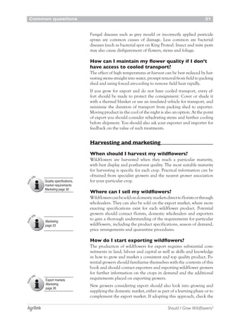 Common questions 21
Should I Grow Wildflowers?
Fungal diseases such as grey mould or incorrectly applied pesticide
sprays are common causes of damage. Less common are bacterial
diseases (such as bacterial spot on King Protea). Insect and mite pests
may also cause disfigurement of flowers, stems and foliage.
How can I maintain my flower quality if I don’t
have access to cooled transport?
The effect of high temperatures at harvest can be best reduced by har-
vesting stems straight into water, prompt removal from field to packing
shed and using forced air-cooling to remove field heat rapidly.
If you grow for export and do not have cooled transport, every ef-
fort should be made to protect the consignment. Cover or shade it
with a thermal blanket or use an insulated vehicle for transport, and
minimise the duration of transport from packing shed to exporter.
Moving product in the cool of the night is also an option. At the point
of export you should consider rehydrating stems and further cooling
before shipment. You should also ask your exporter and importer for
feedback on the value of such treatments.
Harvesting and marketing
When should I harvest my wildflowers?
Wildflowers are harvested when they reach a particular maturity,
with best display and postharvest quality. The most suitable maturity
for harvesting is specific for each crop. Practical information can be
obtained from specialist growers and the nearest grower association
for your particular crop.
Where can I sell my wildflowers?
Wildflowerscanbesoldondomesticmarketsdirecttofloristsorthrough
wholesalers. They can also be sold on the export market, where more
exacting specifications exist for each wildflower product. Potential
growers should contact florists, domestic wholesalers and exporters
to gain a thorough understanding of the requirements for particular
wildflowers, including the product specifications, season of demand,
price arrangements and quarantine procedures.
How do I start exporting wildflowers?
The production of wildflowers for export requires substantial com-
mitments in land, labour and capital as well as skills and knowledge
in how to grow and market a consistent and top quality product. Po-
tential growers should familiarise themselves with the contents of this
book and should contact exporters and exporting wildflower growers
for further information on the crops in demand and the additional
requirements placed on exporting growers.
New growers considering export should also look into growing and
supplying the domestic market, either as part of a learning phase or to
complement the export market. If adopting this approach, check the
Quality specifications,
market requirements
Marketing page 30
Marketing
page 23
Export markets
Marketing
page 26
 