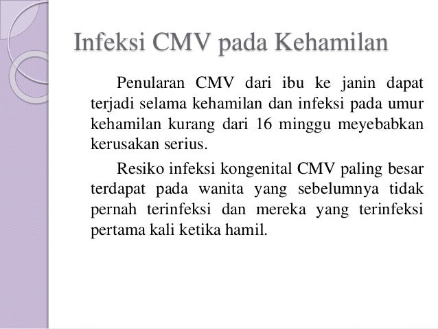 SITOMEGALOVIRUS TERHADAP KEHAMILAN