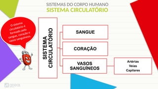 SISTEMAS DO CORPO HUMANO
SISTEMA
CIRCULATÓRIO
SANGUE
CORAÇÃO
VASOS
SANGUÍNEOS
Artérias
Veias
Capilares
O sistema
circulatório é
formado pelo
sangue, coração e
vasos sanguíneos.
SISTEMA CIRCULATÓRIO
 