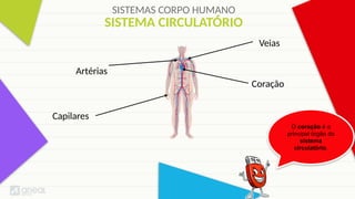 SISTEMAS CORPO HUMANO
Coração
O coração é o
principal órgão do
sistema
circulatório.
Artérias
Veias
Capilares
SISTEMA CIRCULATÓRIO
 