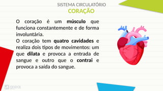SISTEMA CIRCULATÓRIO
CORAÇÃO
O coração é um músculo que
funciona constantemente e de forma
involuntária.
O coração tem quatro cavidades e
realiza dois tipos de movimentos: um
que dilata e provoca a entrada de
sangue e outro que o contrai e
provoca a saída do sangue.
 