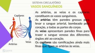 SISTEMA CIRCULATÓRIO
VASOS SANGUÍNEOS
As artérias, as veias e os capilares
constituem os vasos sanguíneos.
As artérias têm paredes grossas para
levar o sangue arterial, bombeado pelo
coração, a todas as partes do corpo.
As veias apresentam paredes finas para
trazer o sangue venoso dos diferentes
órgãos até ao coração.
Os capilares são ramificações ainda mais
finas que ligam as artérias às veias.
Veias
Artérias
Capilares
 