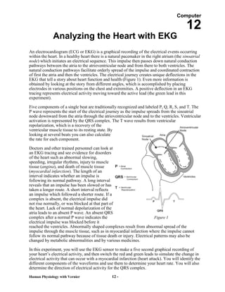 Computer

                                                                                             12
              Analyzing the Heart with EKG
An electrocardiogram (ECG or EKG) is a graphical recording of the electrical events occurring
within the heart. In a healthy heart there is a natural pacemaker in the right atrium (the sinoatrial
node) which initiates an electrical sequence. This impulse then passes down natural conduction
pathways between the atria to the atrioventricular node and from there to both ventricles. The
natural conduction pathways facilitate orderly spread of the impulse and coordinated contraction
of first the atria and then the ventricles. The electrical journey creates unique deflections in the
EKG that tell a story about heart function and health (Figure 1). Even more information is
obtained by looking at the story from different angles, which is accomplished by placing
electrodes in various positions on the chest and extremities. A positive deflection in an EKG
tracing represents electrical activity moving toward the active lead (the green lead in this
experiment).

Five components of a single beat are traditionally recognized and labeled P, Q, R, S, and T. The
P wave represents the start of the electrical journey as the impulse spreads from the sinoatrial
node downward from the atria through the atrioventricular node and to the ventricles. Ventricular
activation is represented by the QRS complex. The T wave results from ventricular
repolarization, which is a recovery of the
ventricular muscle tissue to its resting state. By
looking at several beats you can also calculate
the rate for each component.

Doctors and other trained personnel can look at
an EKG tracing and see evidence for disorders
of the heart such as abnormal slowing,
speeding, irregular rhythms, injury to muscle
tissue (angina), and death of muscle tissue
(myocardial infarction). The length of an
interval indicates whether an impulse is
following its normal pathway. A long interval
reveals that an impulse has been slowed or has
taken a longer route. A short interval reflects
an impulse which followed a shorter route. If a
complex is absent, the electrical impulse did
not rise normally, or was blocked at that part of
the heart. Lack of normal depolarization of the
atria leads to an absent P wave. An absent QRS
complex after a normal P wave indicates the                             Figure 1
electrical impulse was blocked before it
reached the ventricles. Abnormally shaped complexes result from abnormal spread of the
impulse through the muscle tissue, such as in myocardial infarction where the impulse cannot
follow its normal pathway because of tissue death or injury. Electrical patterns may also be
changed by metabolic abnormalities and by various medicines.

In this experiment, you will use the EKG sensor to make a five second graphical recording of
your heart’s electrical activity, and then switch the red and green leads to simulate the change in
electrical activity that can occur with a myocardial infarction (heart attack). You will identify the
different components of the waveforms and use them to determine your heart rate. You will also
determine the direction of electrical activity for the QRS complex.
Human Physiology with Vernier                    12 -
 