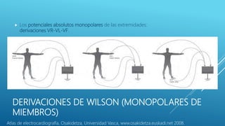DERIVACIONES DE WILSON (MONOPOLARES DE
MIEMBROS)
 Los potenciales absolutos monopolares de las extremidades:
derivaciones VR-VL-VF.
Atlas de electrocardiografía, Osakidetza, Universidad Vasca, www.osakidetza.euskadi.net 2008.
 