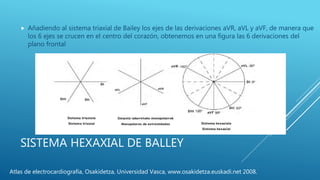 SISTEMA HEXAXIAL DE BALLEY
 Añadiendo al sistema triaxial de Bailey los ejes de las derivaciones aVR, aVL y aVF, de manera que
los 6 ejes se crucen en el centro del corazón, obtenemos en una figura las 6 derivaciones del
plano frontal
Atlas de electrocardiografía, Osakidetza, Universidad Vasca, www.osakidetza.euskadi.net 2008.
 