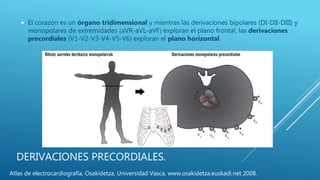 DERIVACIONES PRECORDIALES.
 El corazón es un órgano tridimensional y mientras las derivaciones bipolares (DI-DII-DIII) y
monopolares de extremidades (aVR-aVL-aVF) exploran el plano frontal, las derivaciones
precordiales (V1-V2-V3-V4-V5-V6) exploran el plano horizontal
Atlas de electrocardiografía, Osakidetza, Universidad Vasca, www.osakidetza.euskadi.net 2008.
 