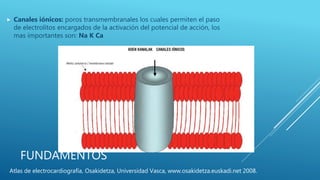 FUNDAMENTOS
 Canales iónicos: poros transmembranales los cuales permiten el paso
de electrolitos encargados de la activación del potencial de acción, los
mas importantes son: Na K Ca
Atlas de electrocardiografía, Osakidetza, Universidad Vasca, www.osakidetza.euskadi.net 2008.
 