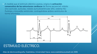 ESTIMULO ELÉCTRICO.
 A medida que el estímulo eléctrico avanza, origina la activación
consecutiva de las estructuras cardíacas de forma secuencial: nódulo
sino-auricular, aurículas, nódulo auriculoventricular (AV), sistema His-
Purkinje y miocardio ventricular, contrayéndose ambos ventrículos de
forma sincrónica.
Atlas de electrocardiografía, Osakidetza, Universidad Vasca, www.osakidetza.euskadi.net 2008.
 