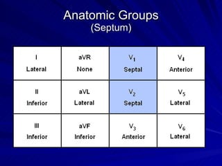 Anatomic Groups (Septum) 