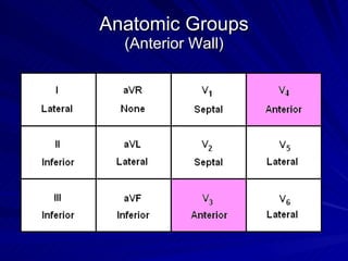 Anatomic Groups (Anterior Wall) 