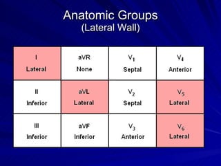 Anatomic Groups (Lateral Wall) 