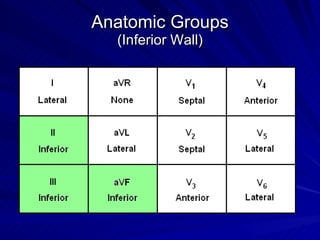 Anatomic Groups (Inferior Wall) 