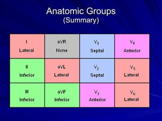 Anatomic Groups (Summary) 