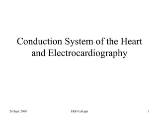 Conduction System of the Heart and Electrocardiography 