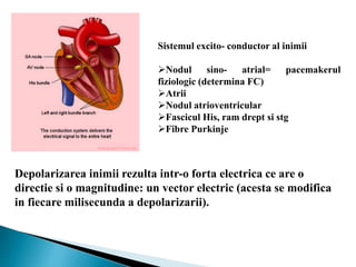 Atrii Inima Interpetarea si Analiza electrocardiogramei.ppt