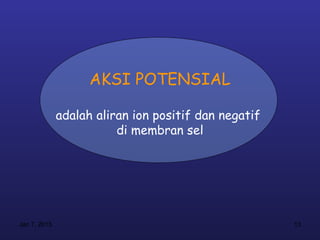 AKSI POTENSIAL

              adalah aliran ion positif dan negatif
                         di membran sel




Jan 7, 2013                                           13
 