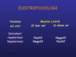 ELEKTROFISIOLOGI


       Keadaan            Muatan Listrik
       sel otot    Di luar sel     Di dalam sel


    Istirahat/
   repolarisasi     Positif          Negatif
   Depolarisasi     Negatif          Positif



Jan 7, 2013                                       15
 