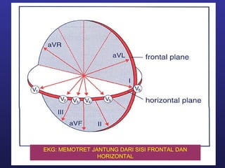 EKG: MEMOTRET JANTUNG DARI SISI FRONTAL DAN
                HORIZONTAL
 